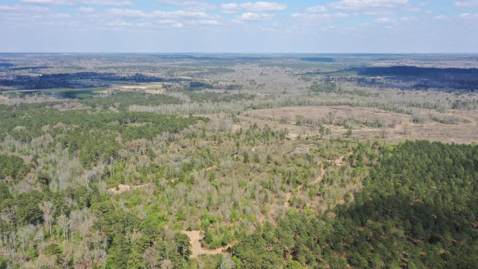 17.5 acres in Cass County gallery image 2