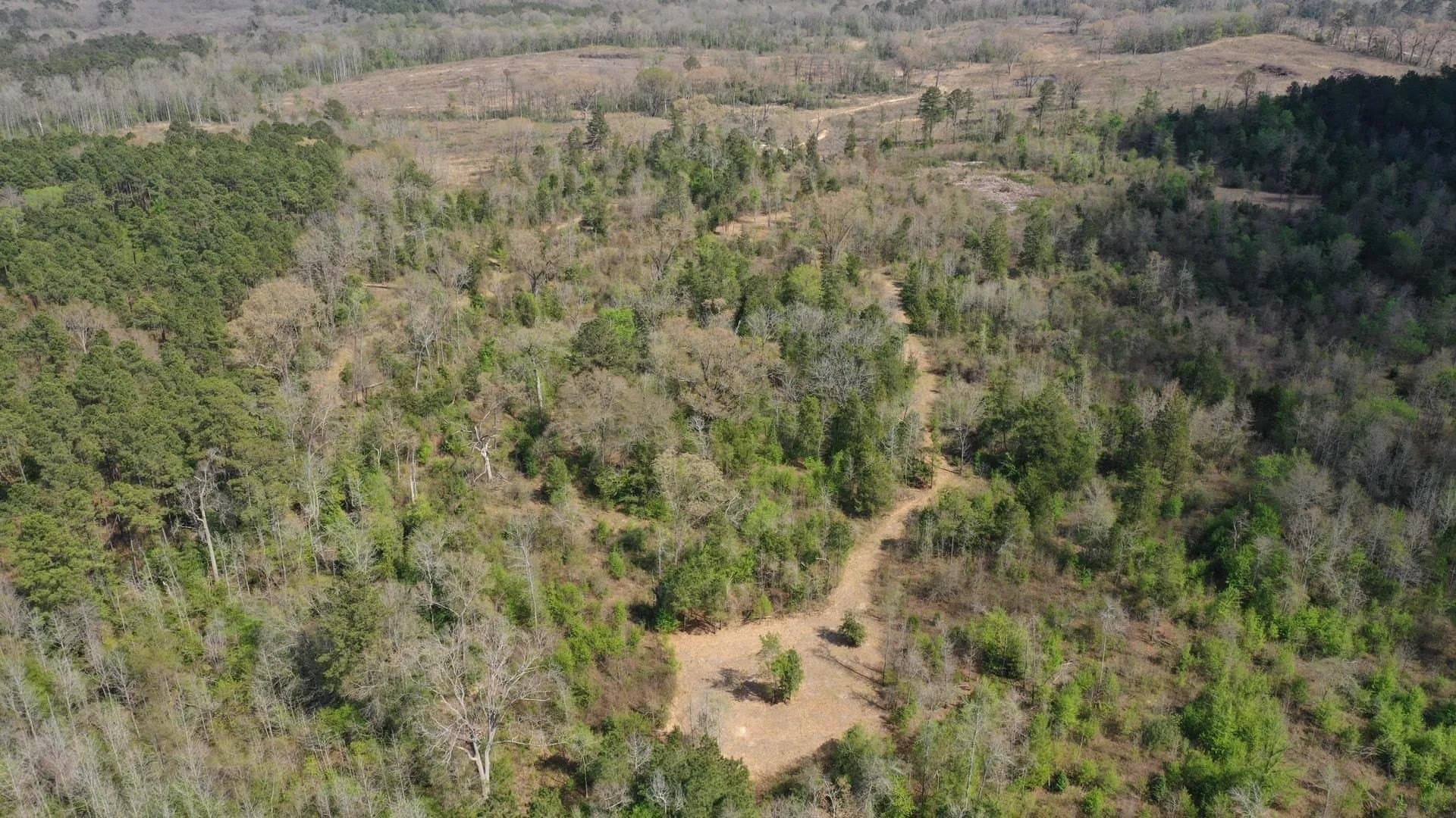 17.5 acres in Cass County gallery image 3