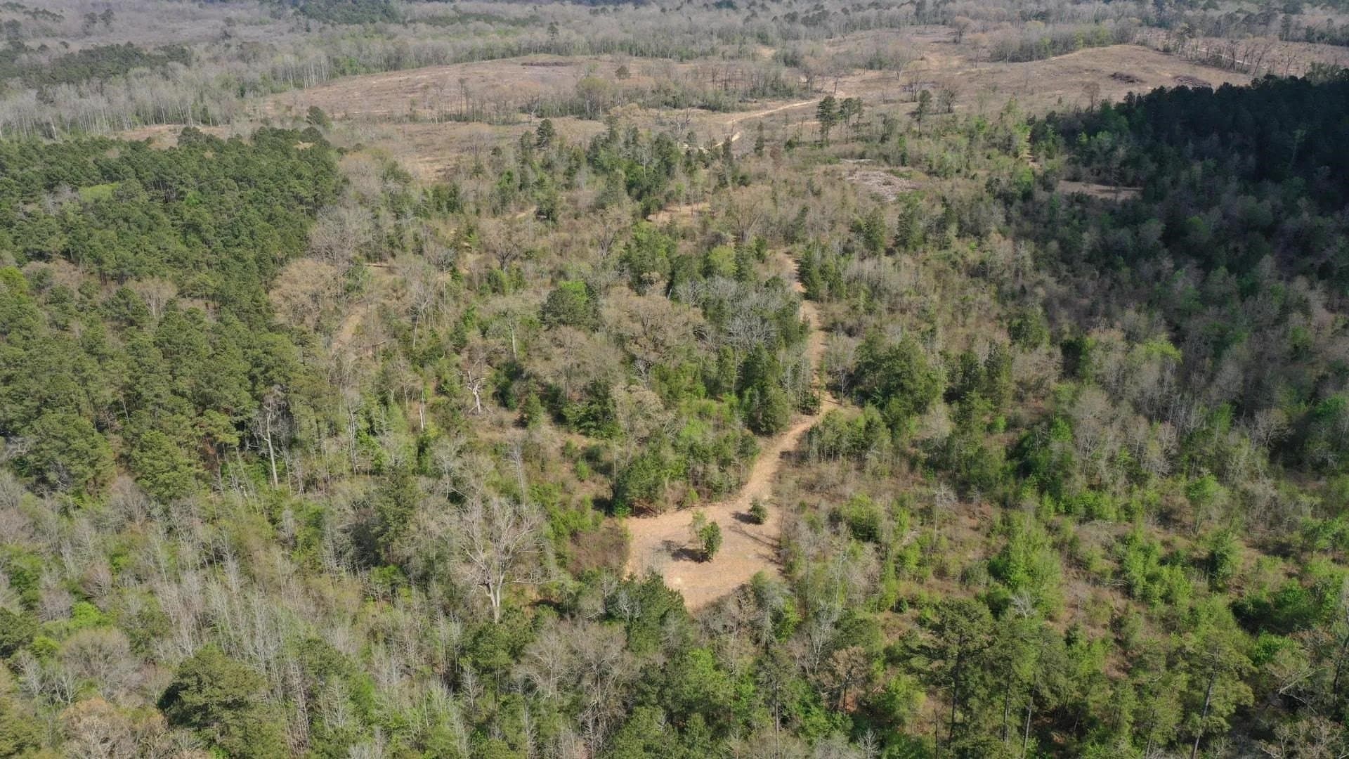 17.5 acres in Cass County gallery image 4