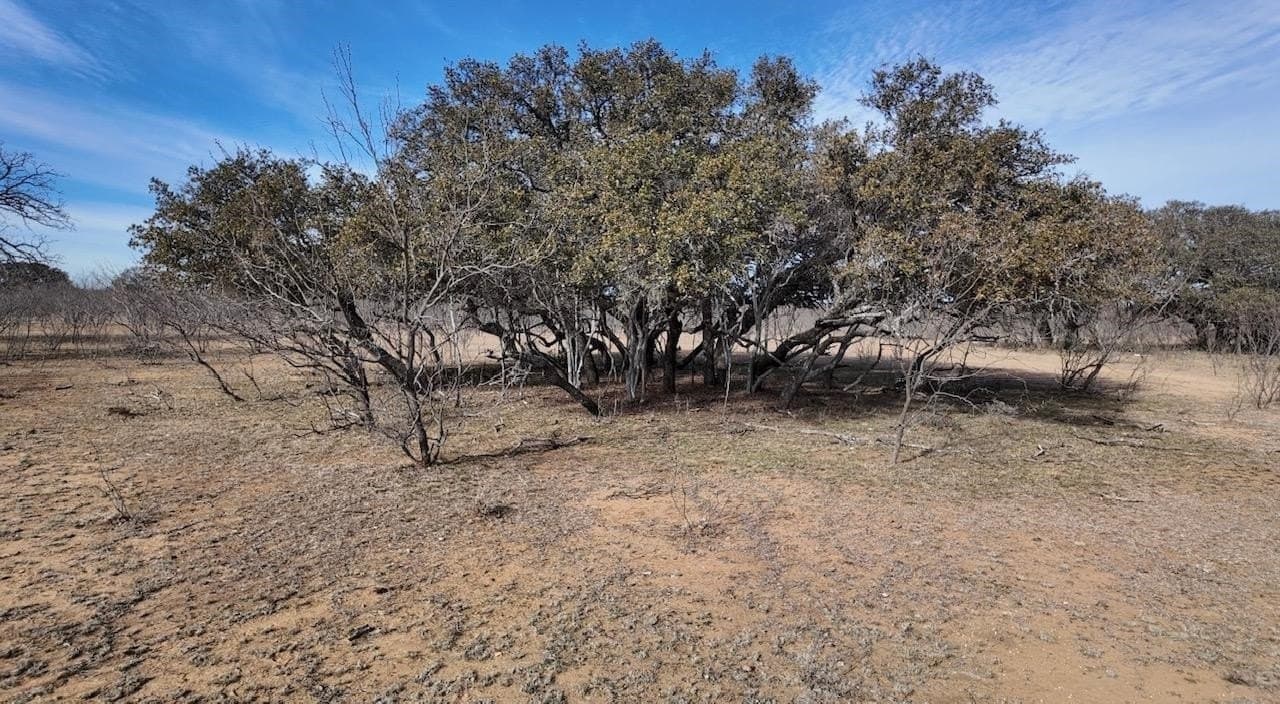 35.11 acres in McCulloch County - photo 20
