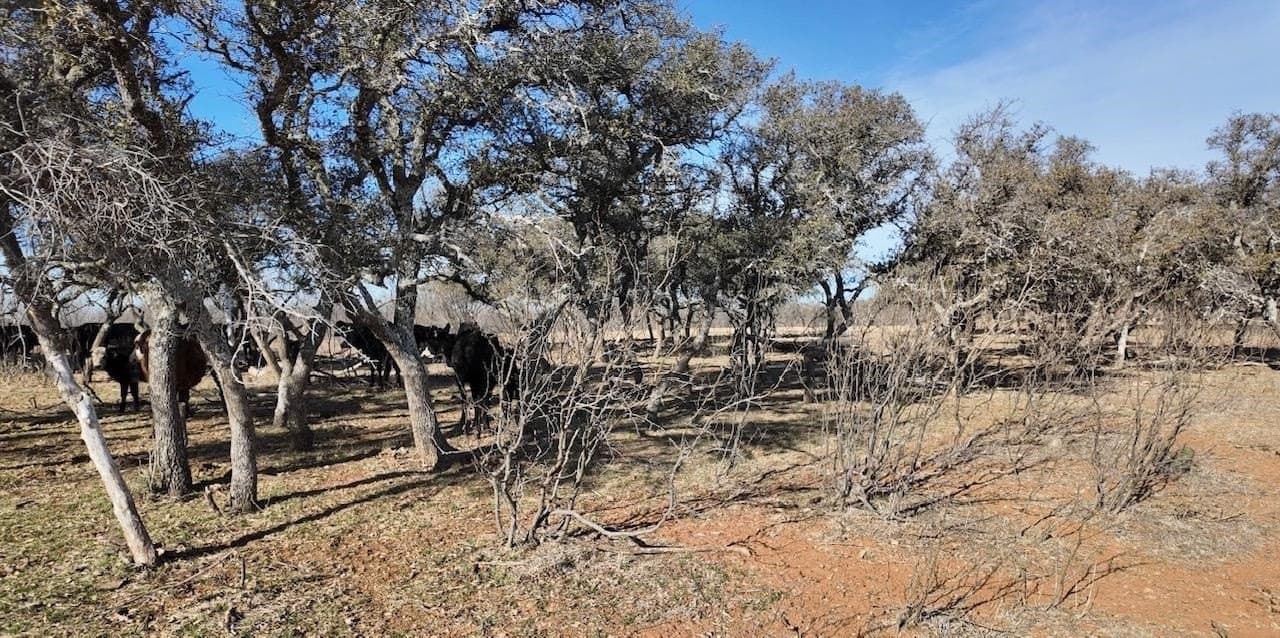 35.11 acres in McCulloch County - photo 26