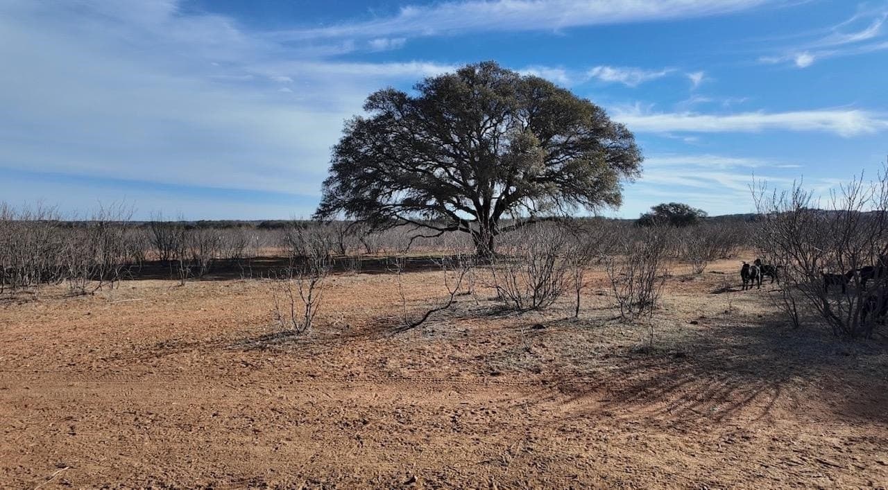 35.11 acres in McCulloch County gallery image 2
