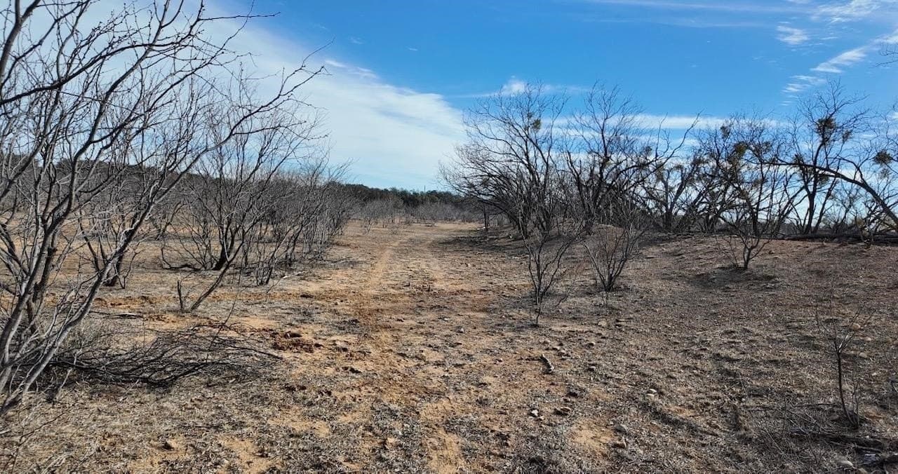 35.11 acres in McCulloch County - photo 19