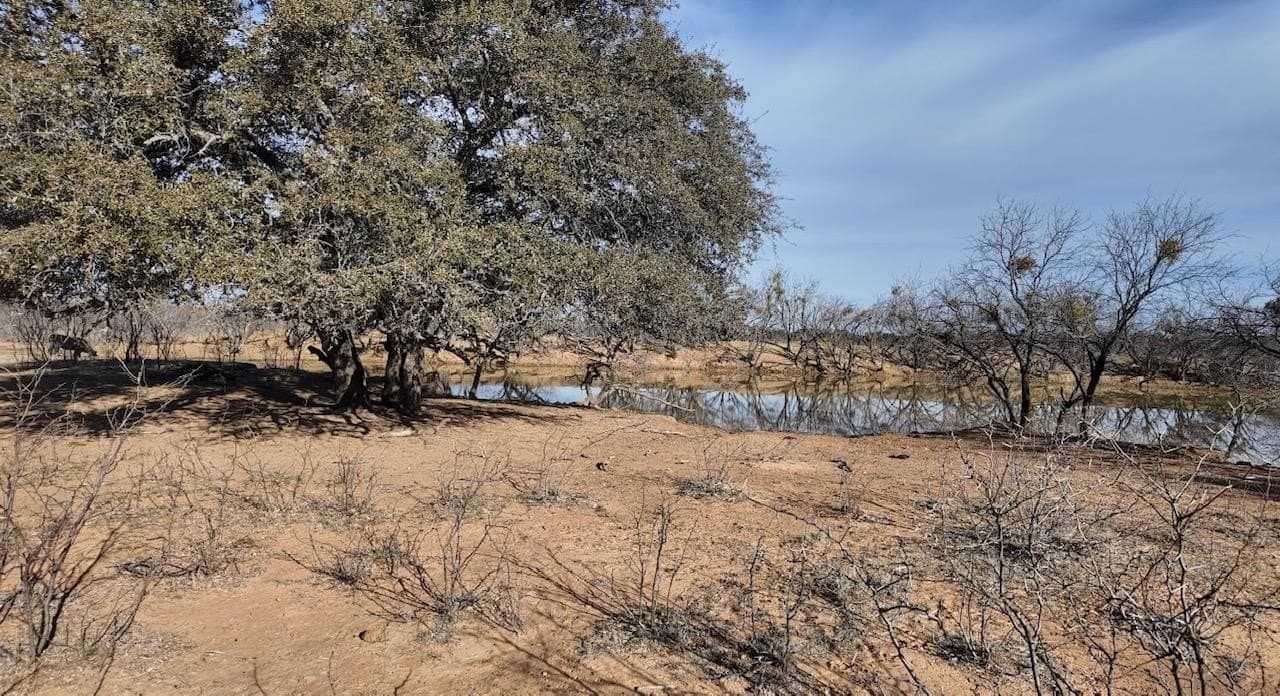 35.11 acres in McCulloch County