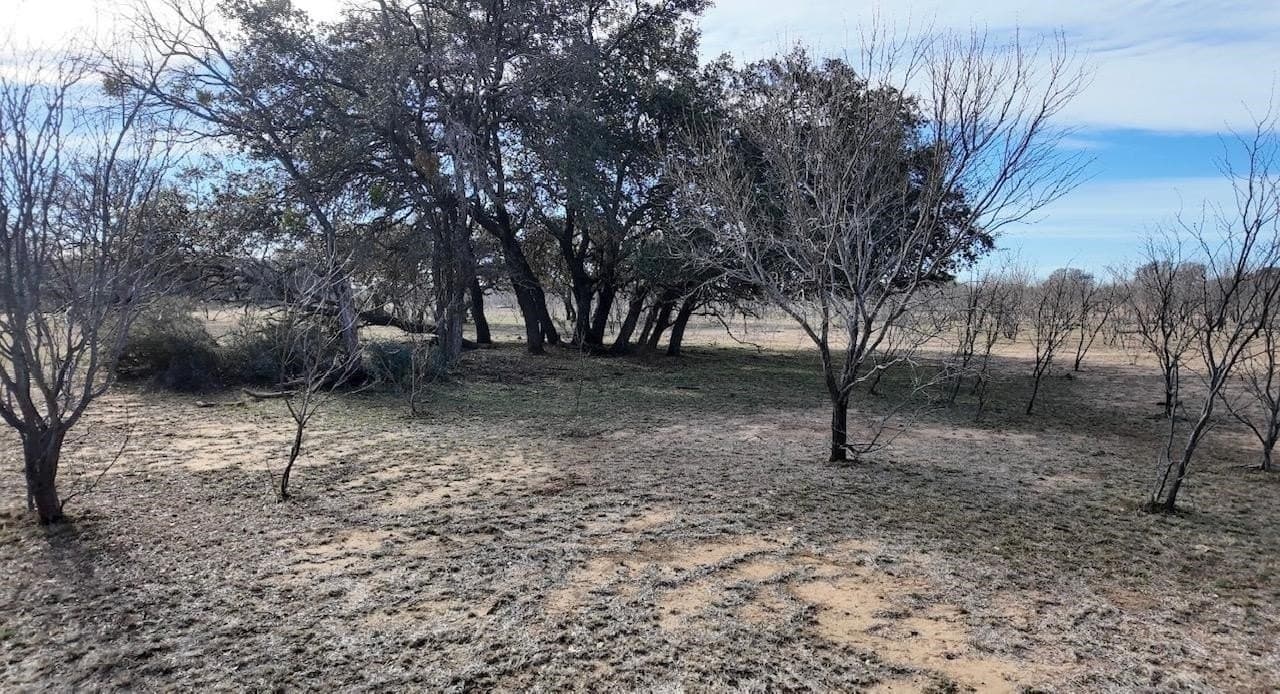 35.11 acres in McCulloch County - photo 17