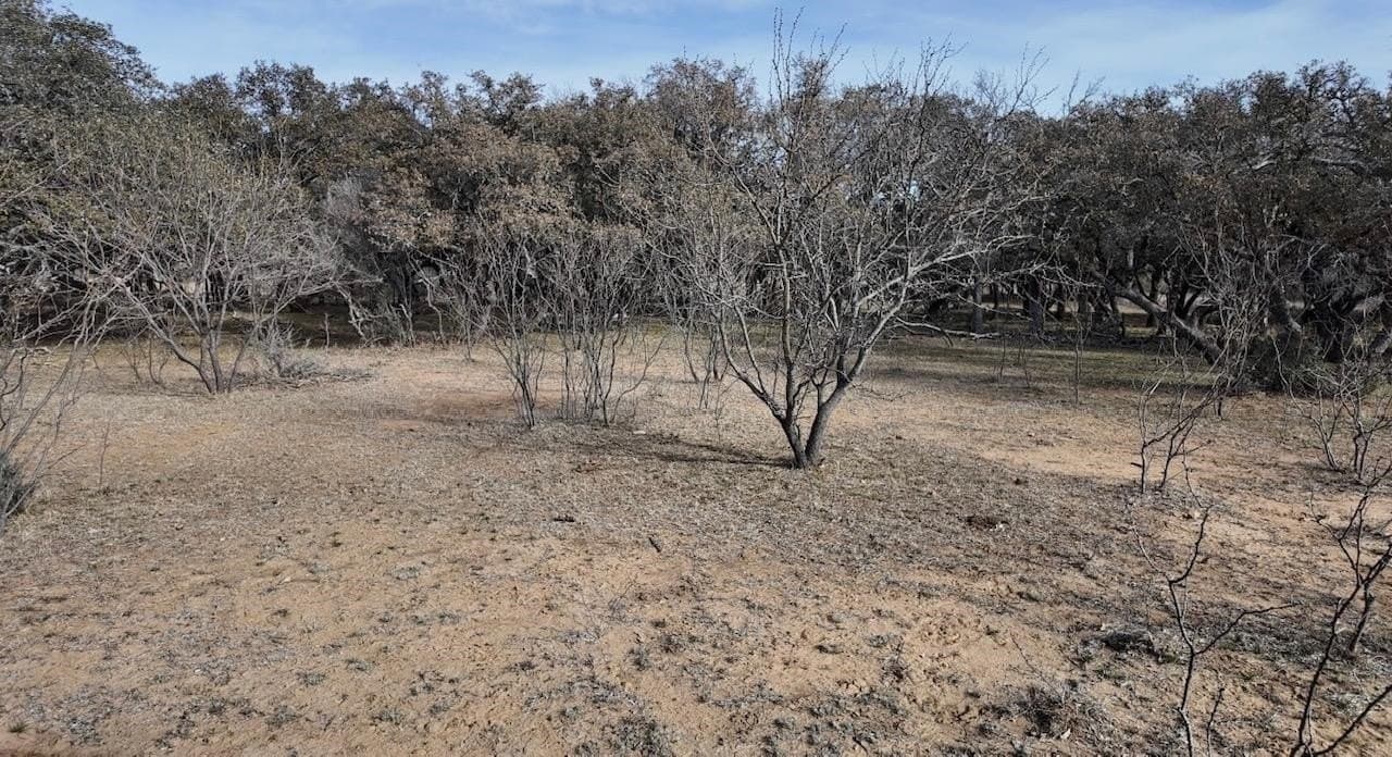35.11 acres in McCulloch County - photo 27