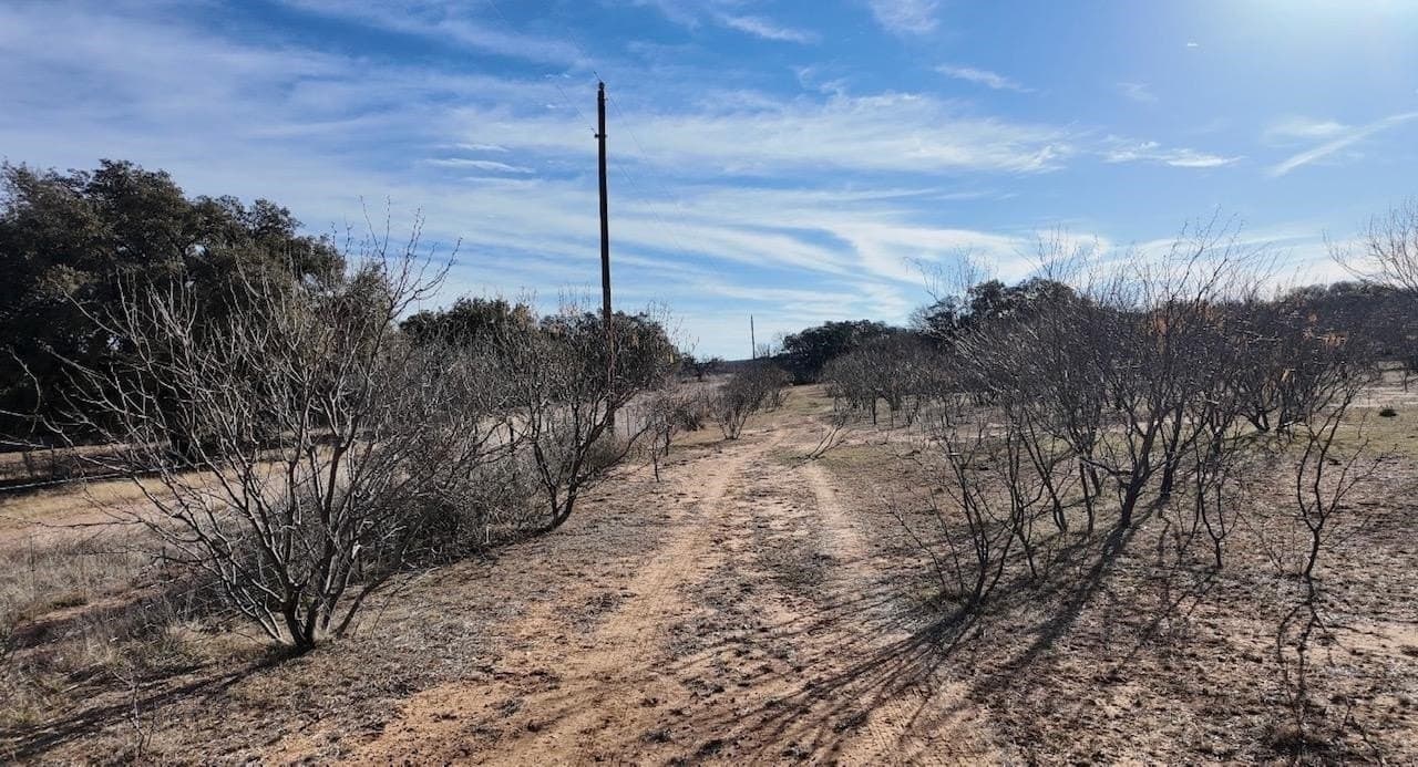 35.11 acres in McCulloch County - photo 8