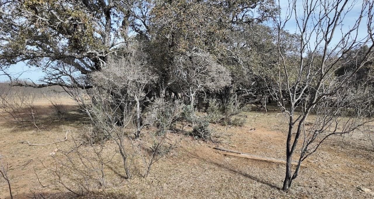 35.11 acres in McCulloch County - photo 21