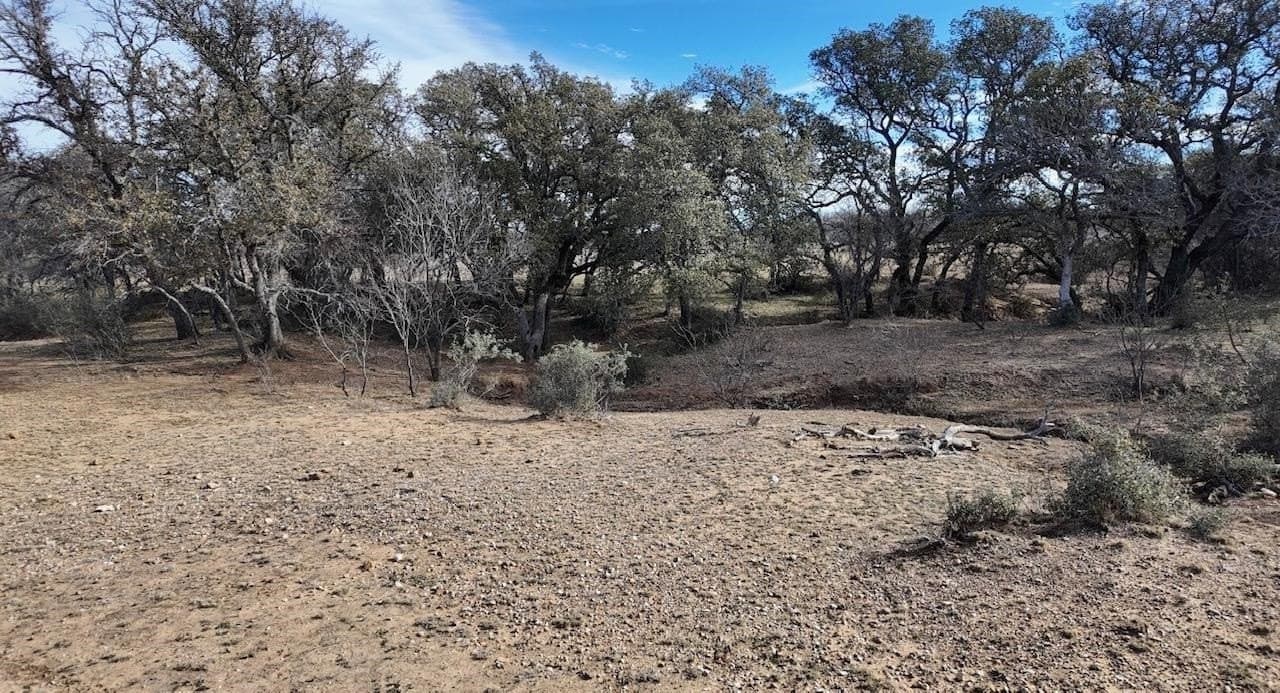35.11 acres in McCulloch County - photo 22