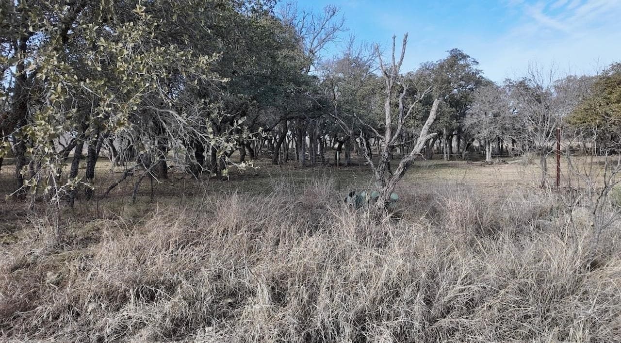 35.11 acres in McCulloch County - photo 18