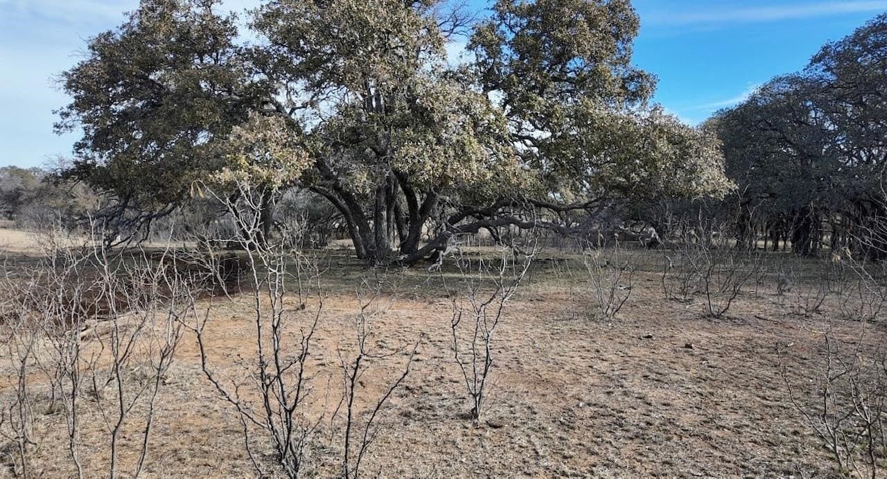 35.11 acres in McCulloch County - photo 24