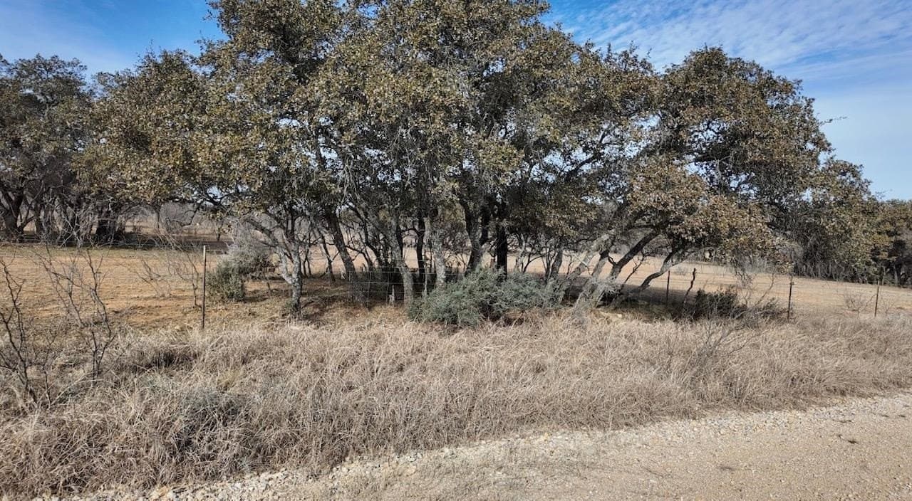 35.11 acres in McCulloch County - photo 23