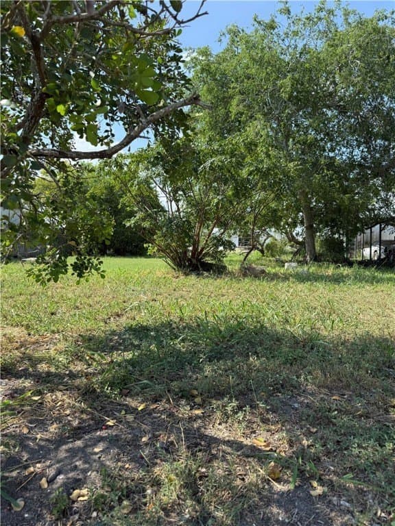 0.13 acres in Nueces County gallery image 3
