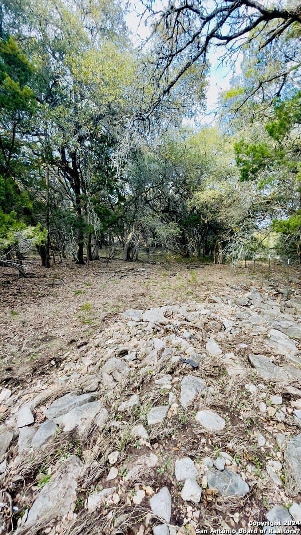 1.71 acres in Comal County - photo 12