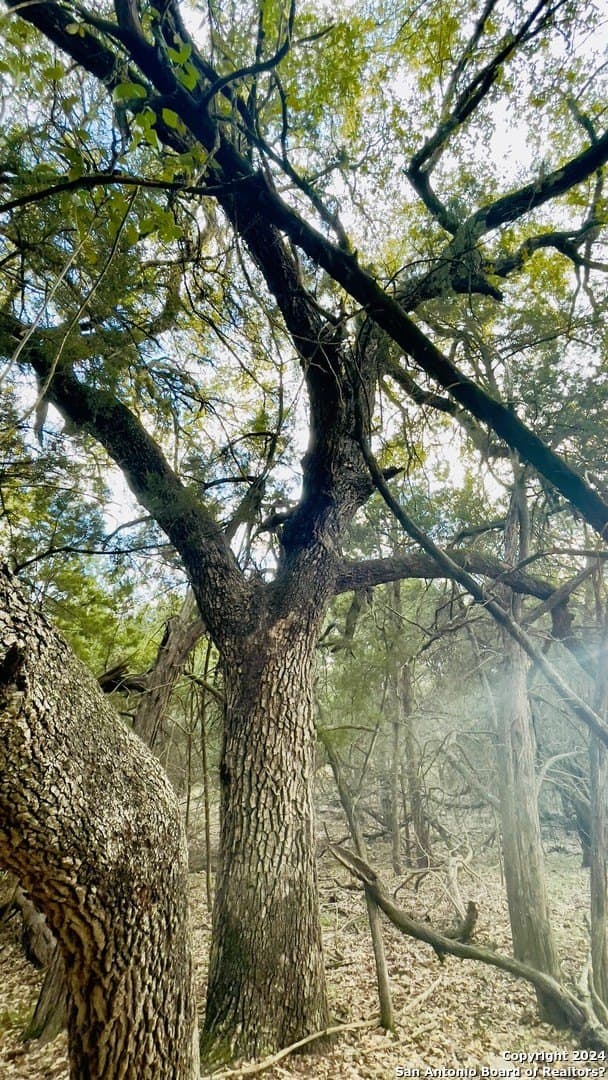 1.71 acres in Comal County - photo 7