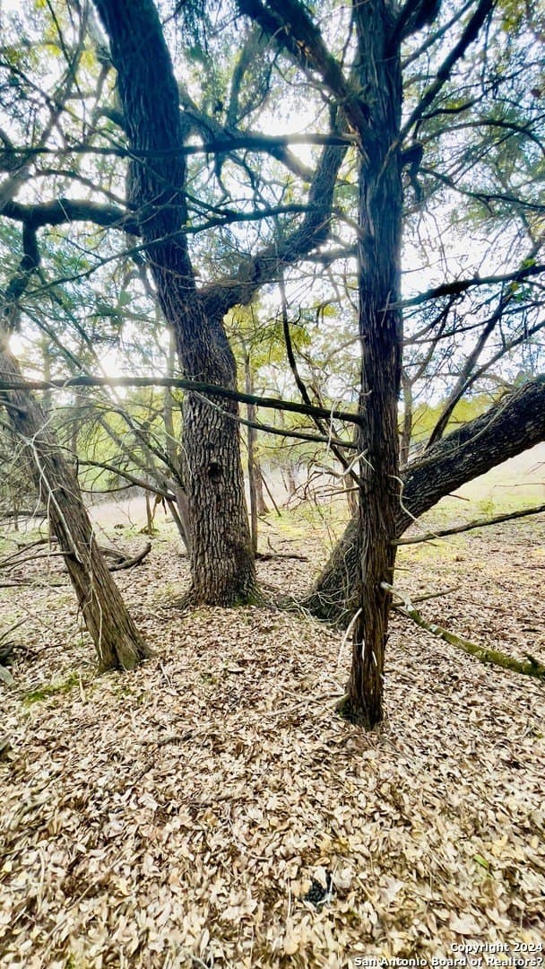 1.71 acres in Comal County - photo 9