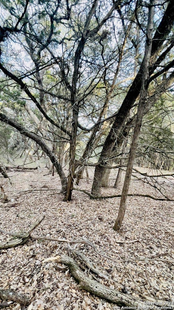 1.71 acres in Comal County - photo 8