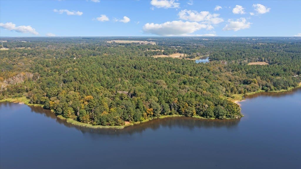 53.79 acres in Texas County gallery image 3