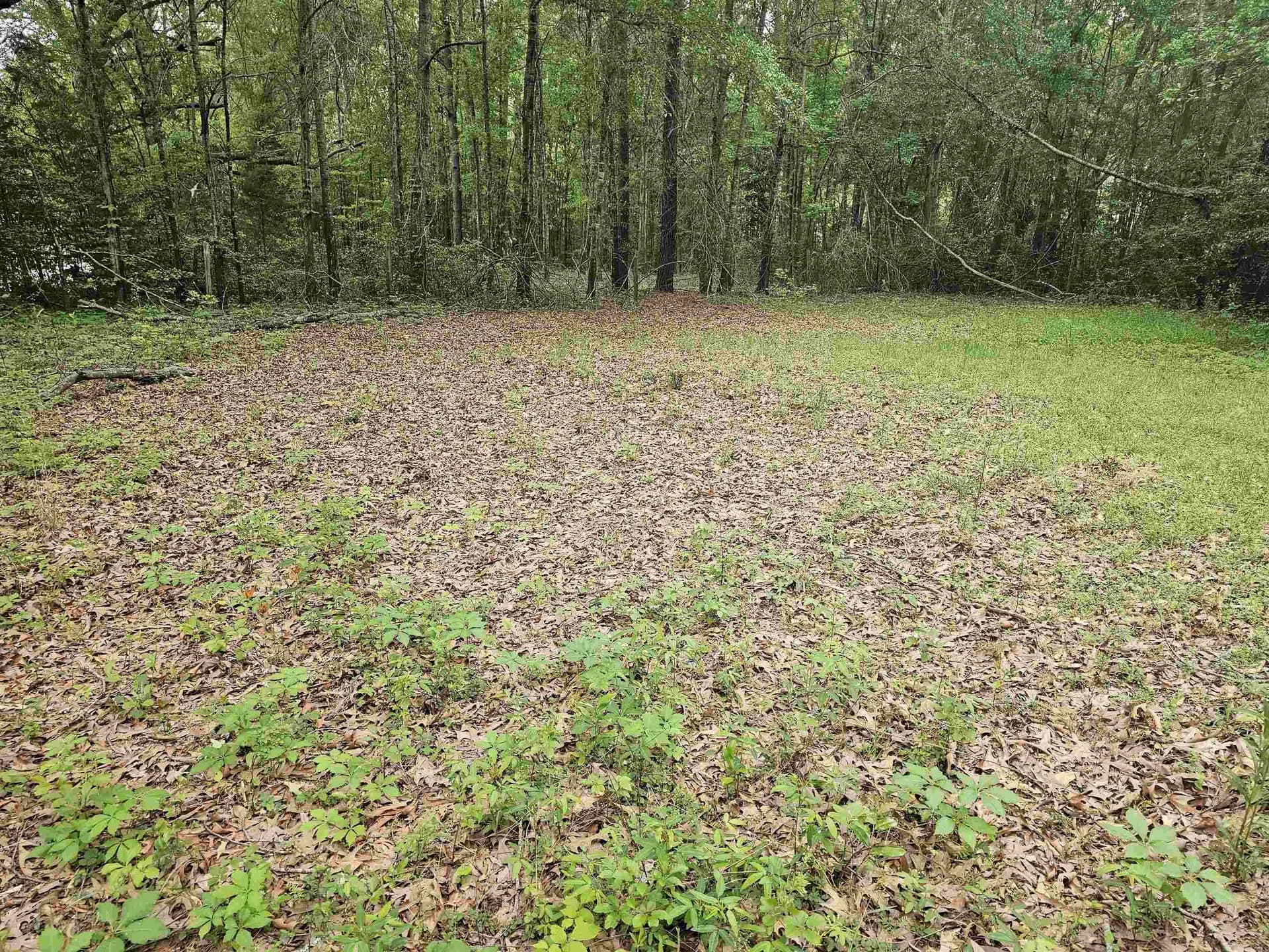 0.52 acres in Rusk County - photo 16