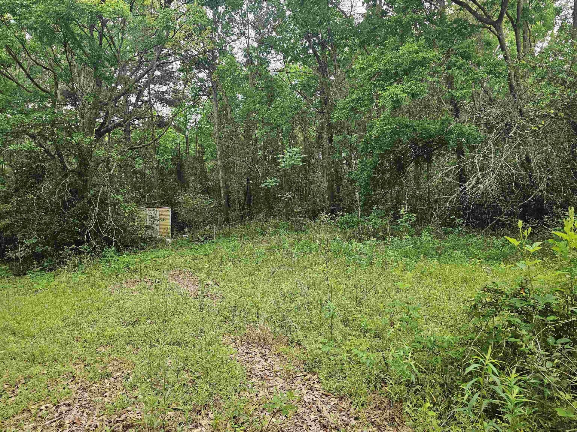 0.52 acres in Rusk County - photo 9