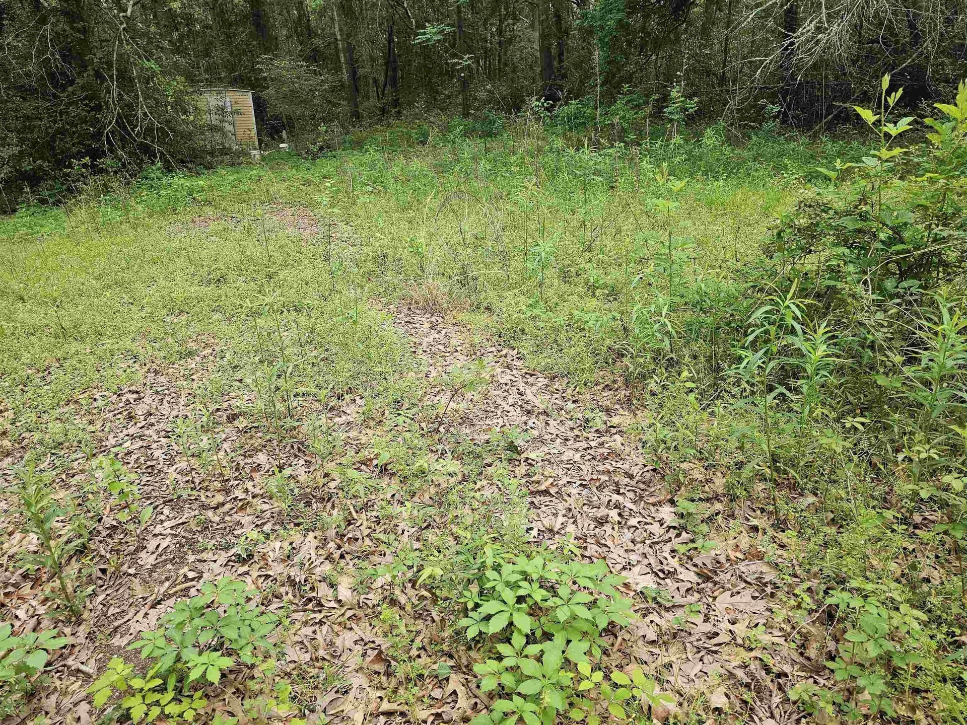 0.52 acres in Rusk County - photo 15