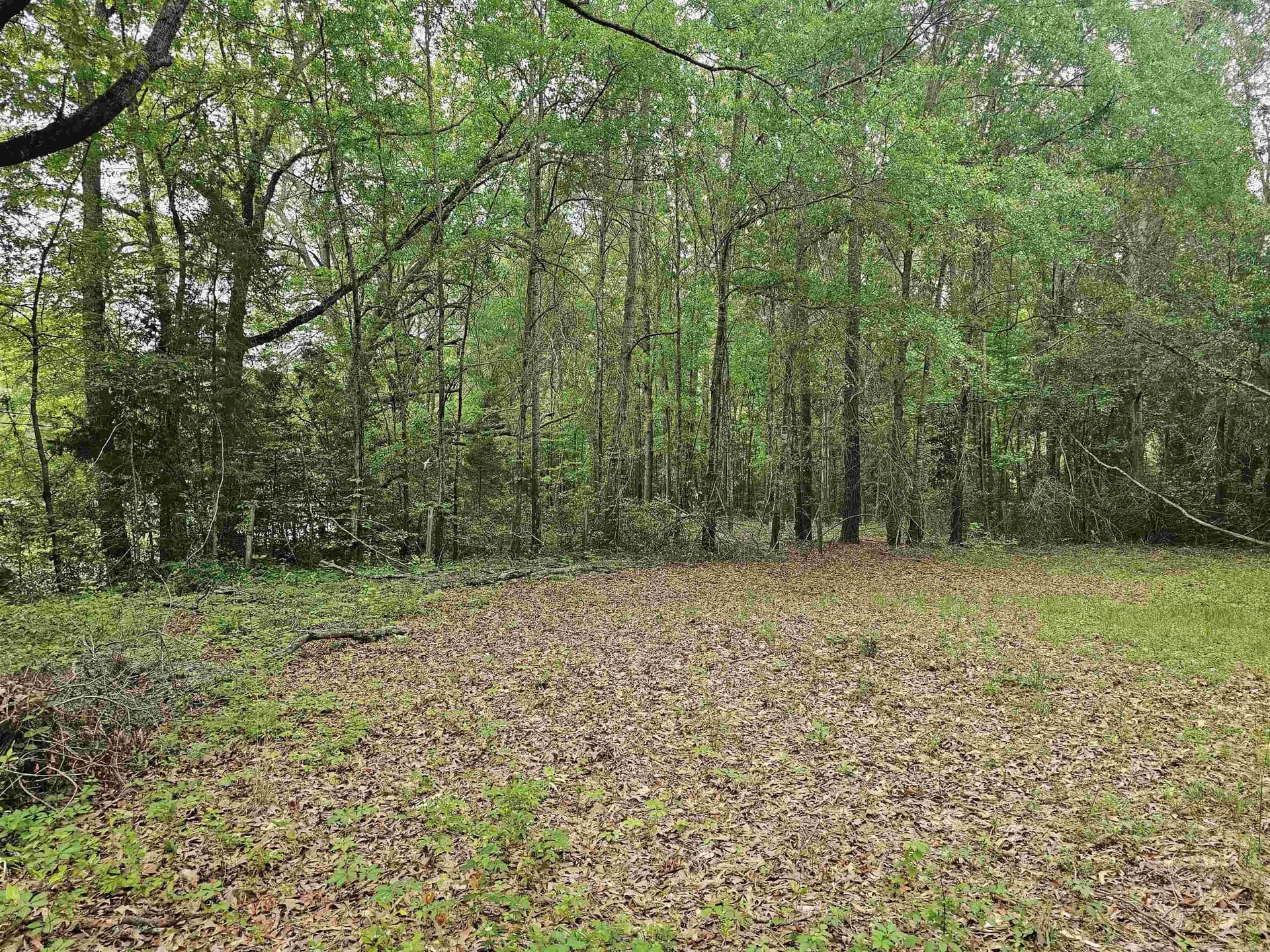 0.52 acres in Rusk County - photo 6