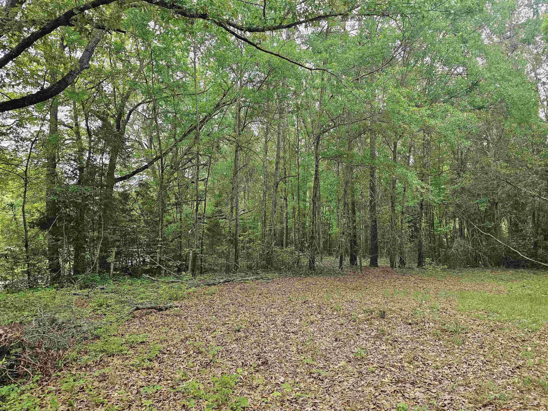 0.52 acres in Rusk County - photo 11