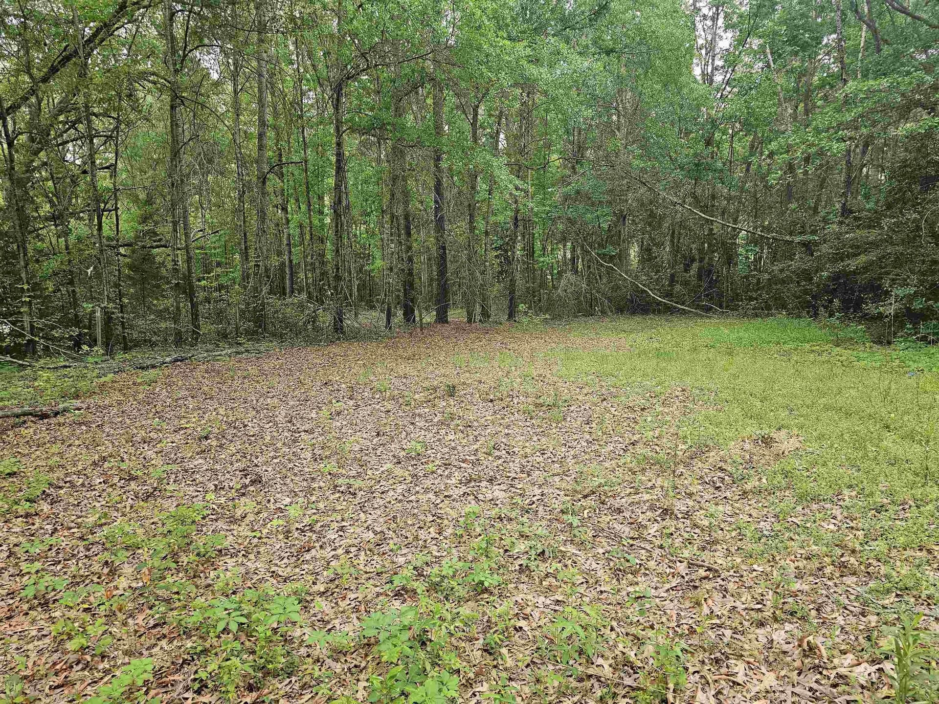 0.52 acres in Rusk County - photo 14
