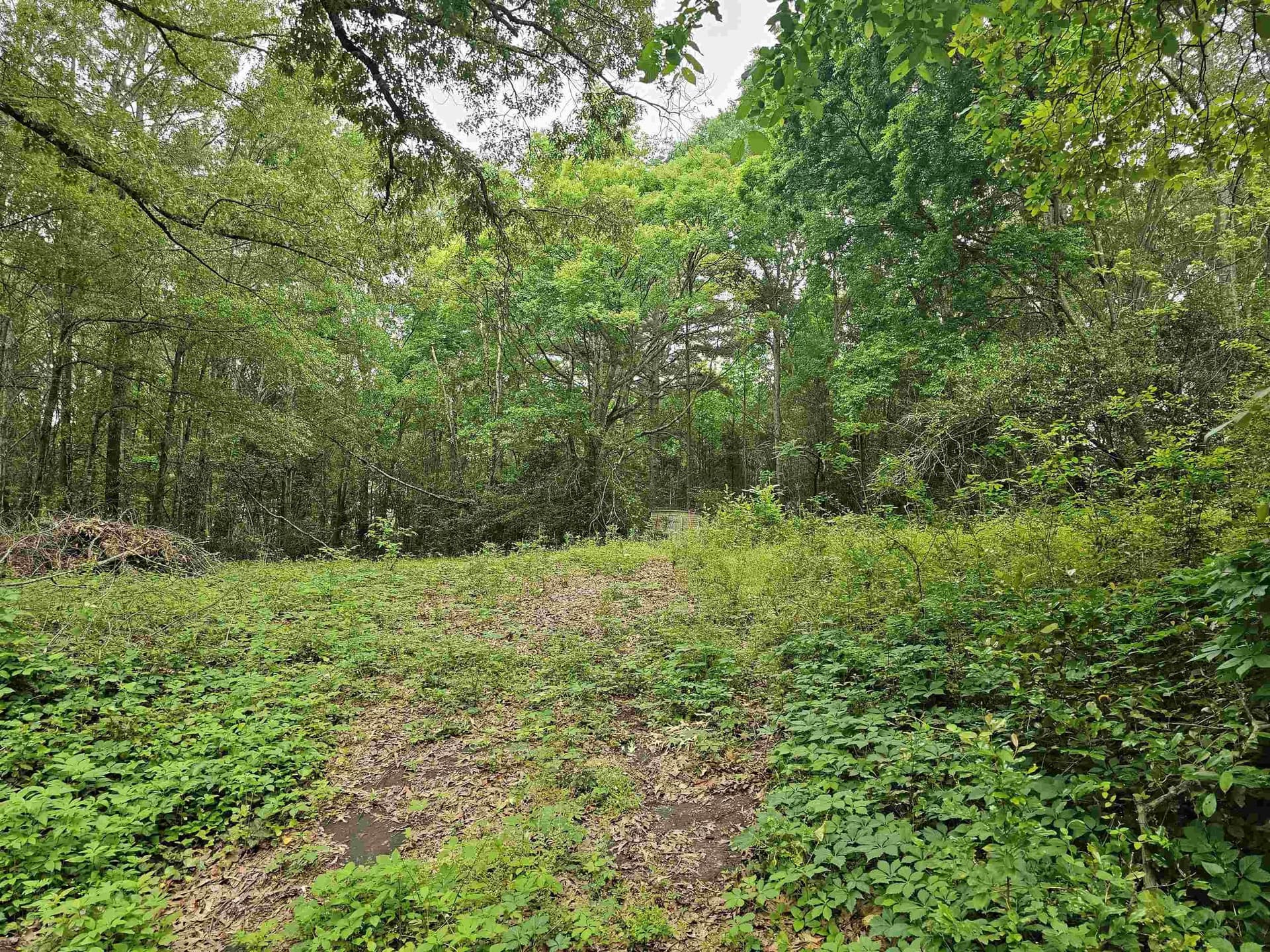 0.52 acres in Rusk County gallery image 2