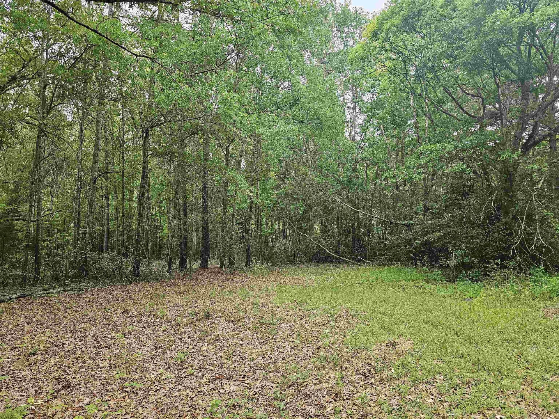 0.52 acres in Rusk County - photo 12