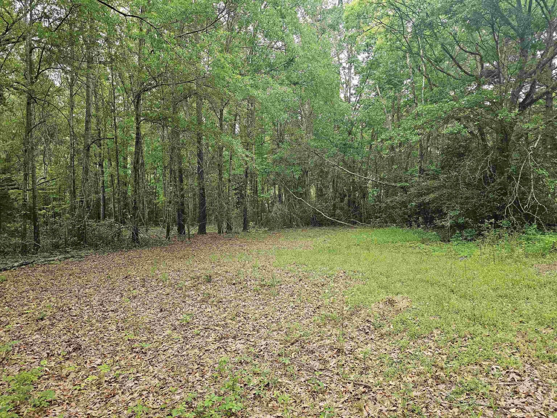 0.52 acres in Rusk County - photo 7