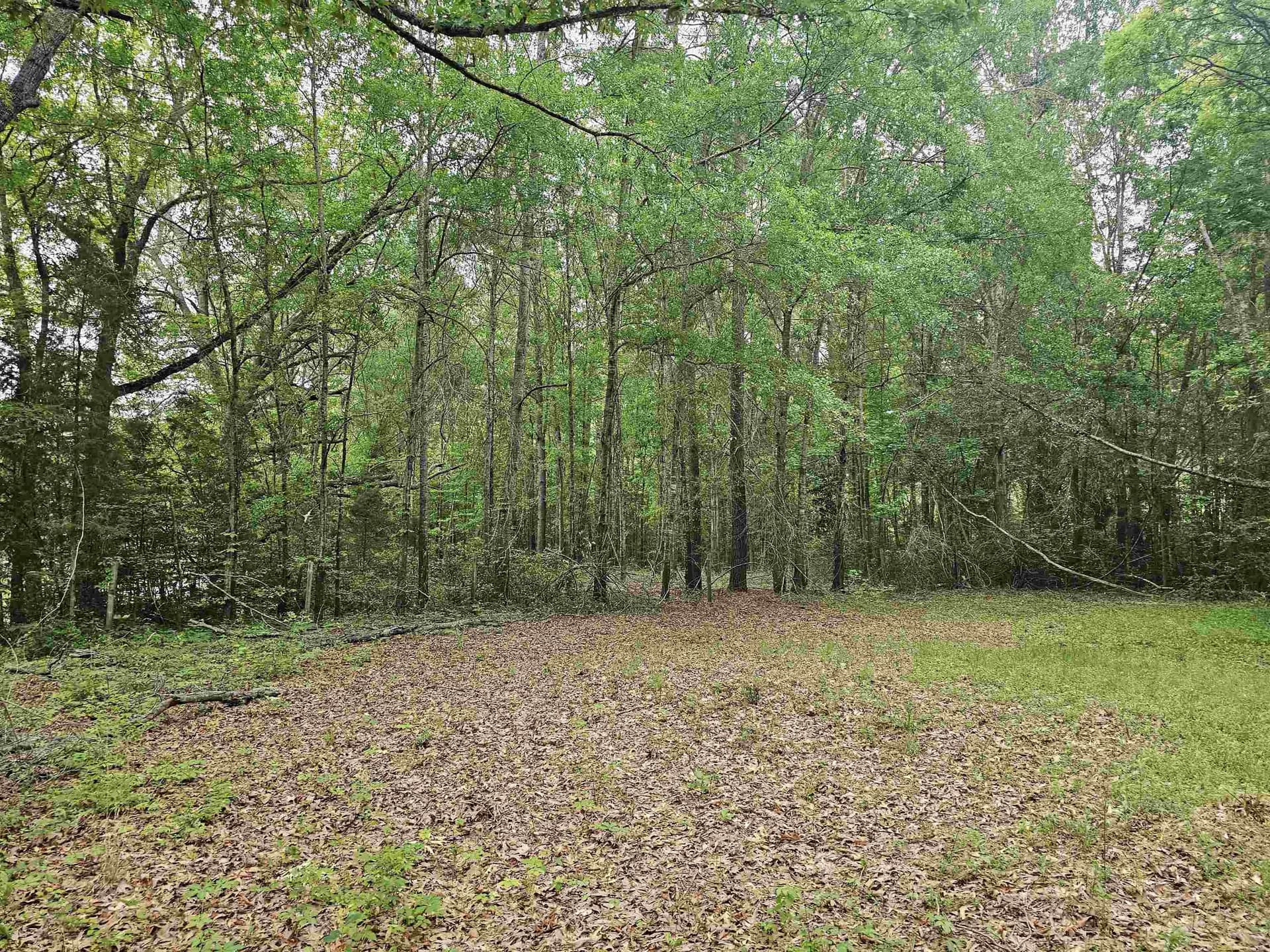 0.52 acres in Rusk County - photo 10