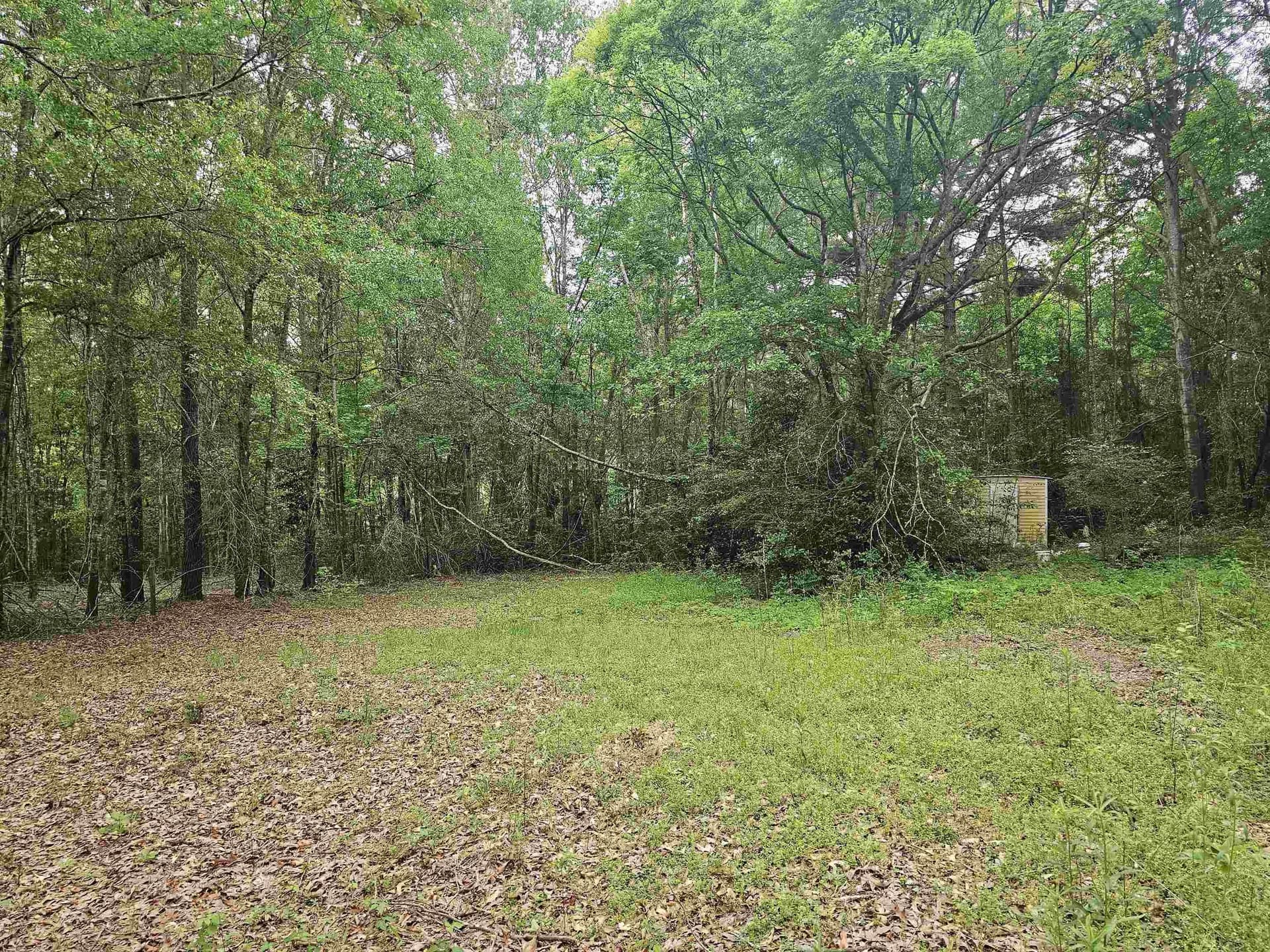 0.52 acres in Rusk County - photo 13