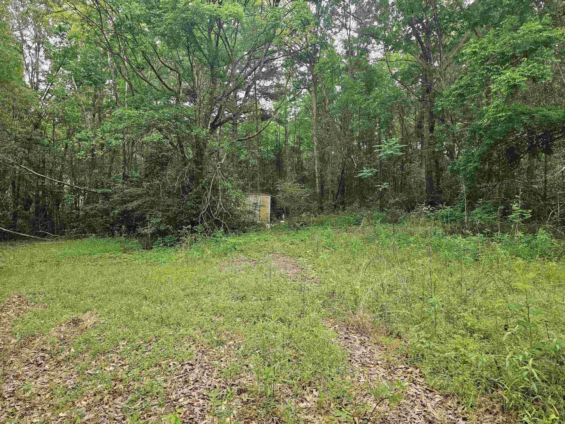 0.52 acres in Rusk County - photo 8
