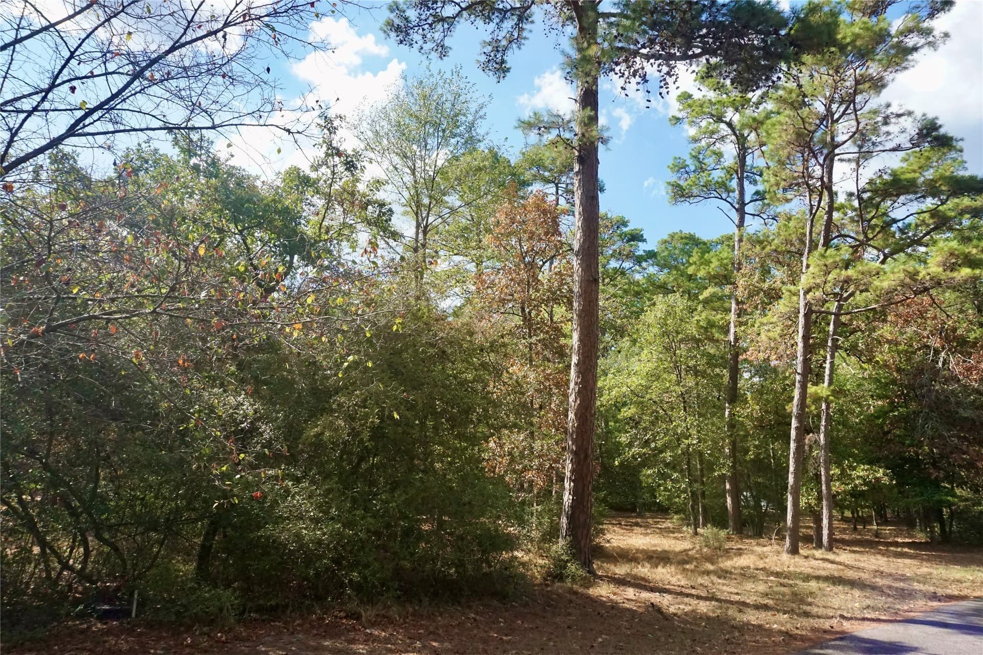 0.42 acres in Wood County - photo 11