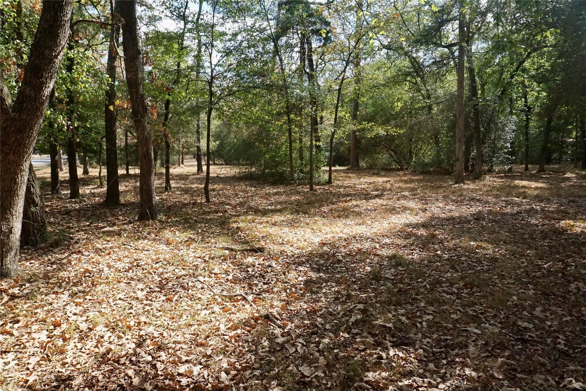 0.42 acres in Wood County - photo 4