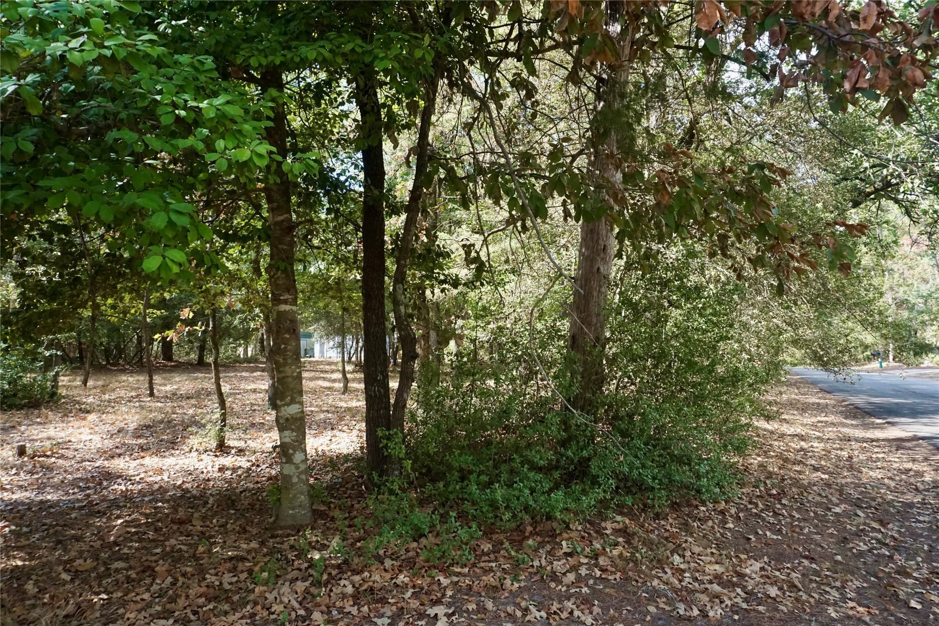 0.42 acres in Wood County - photo 7