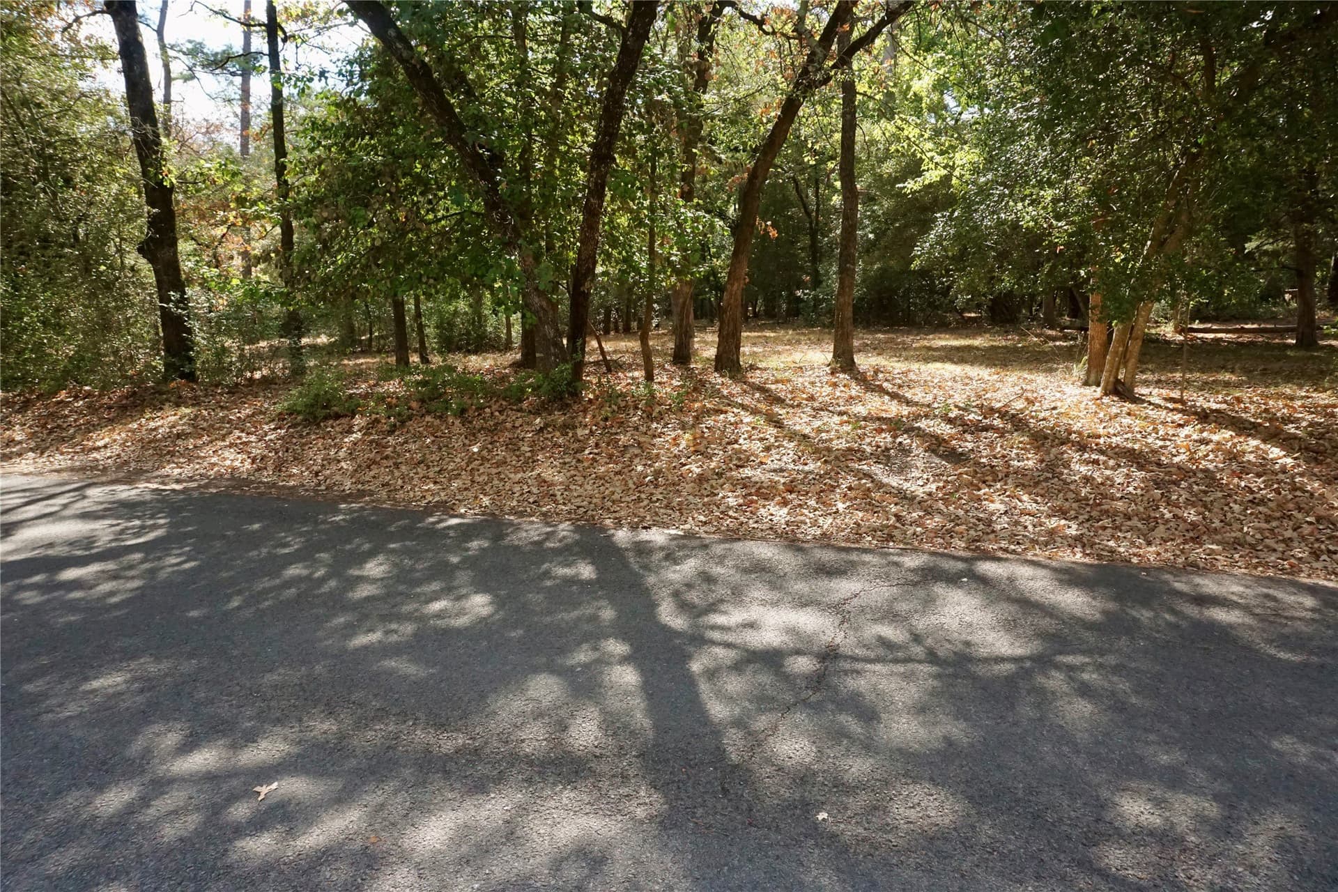 0.42 acres in Wood County - photo 3
