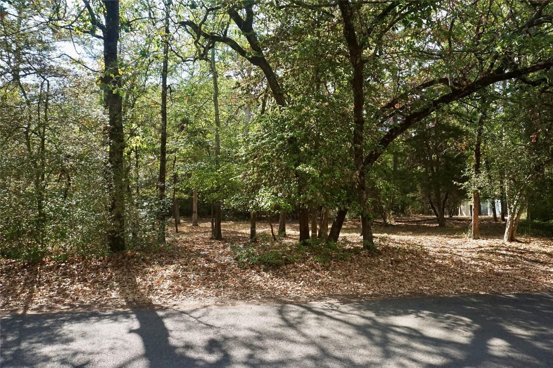 0.42 acres in Wood County - photo 2