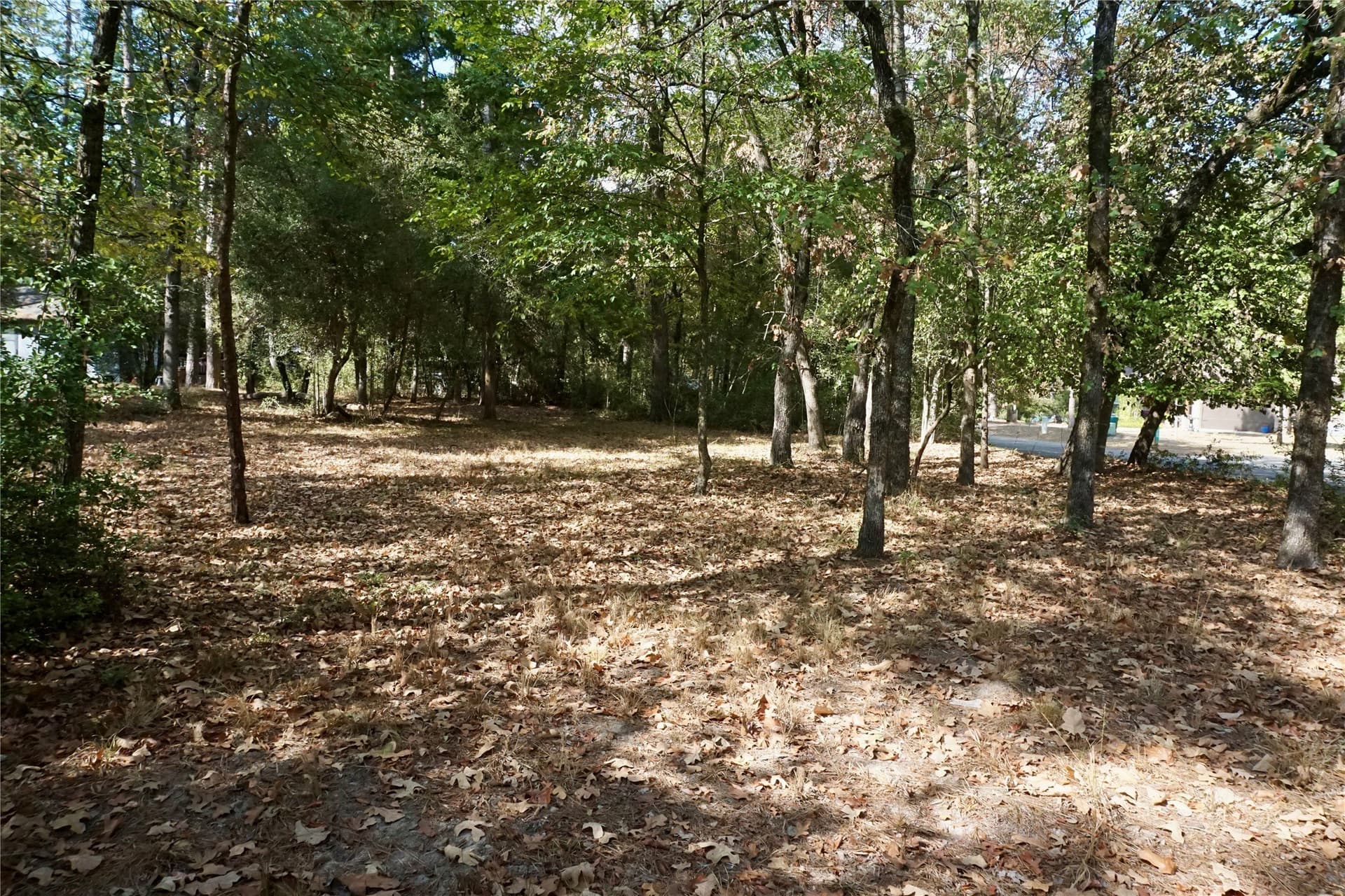 0.42 acres in Wood County - photo 6