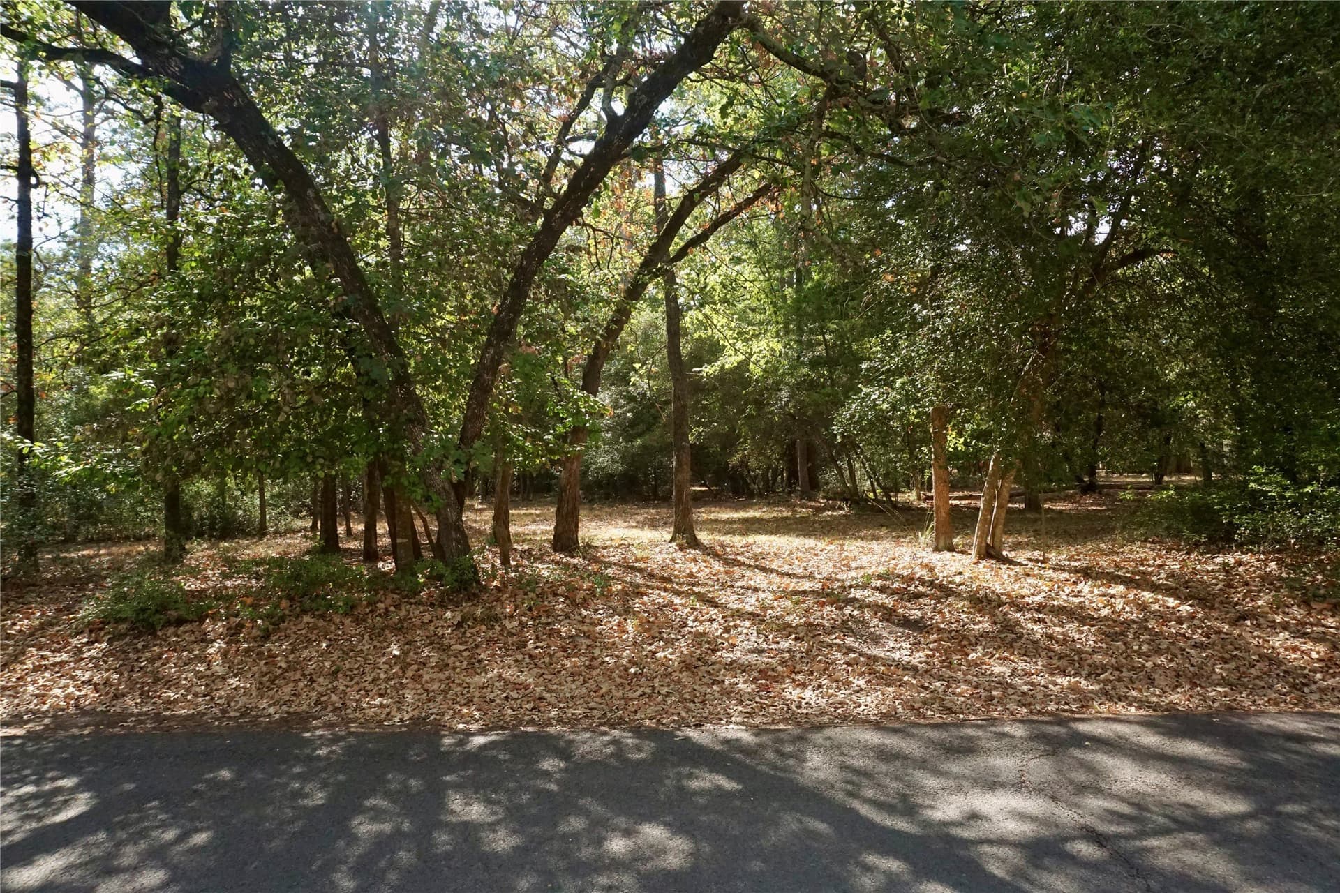 0.42 acres in Wood County - photo 12