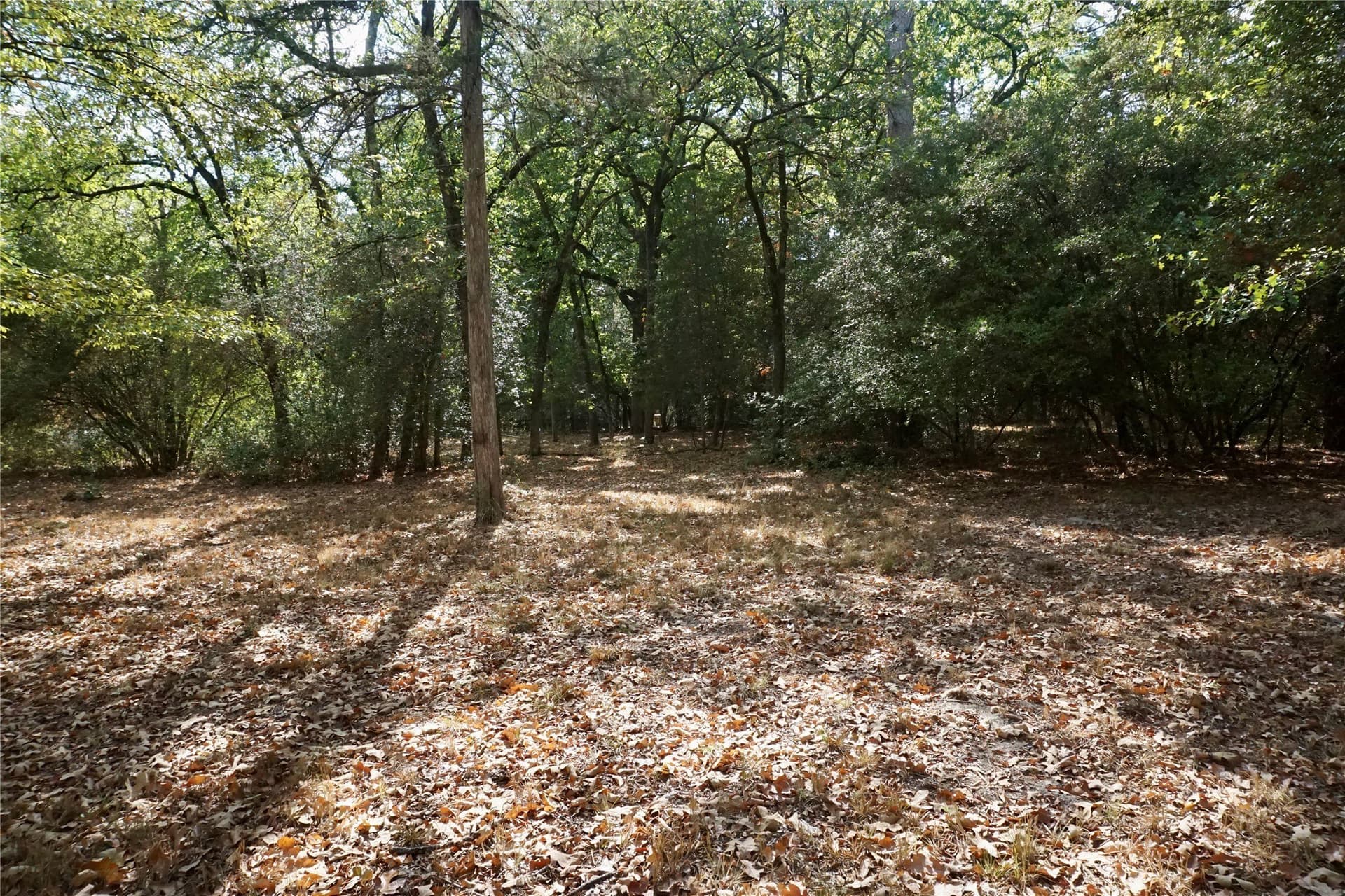 0.42 acres in Wood County - photo 5