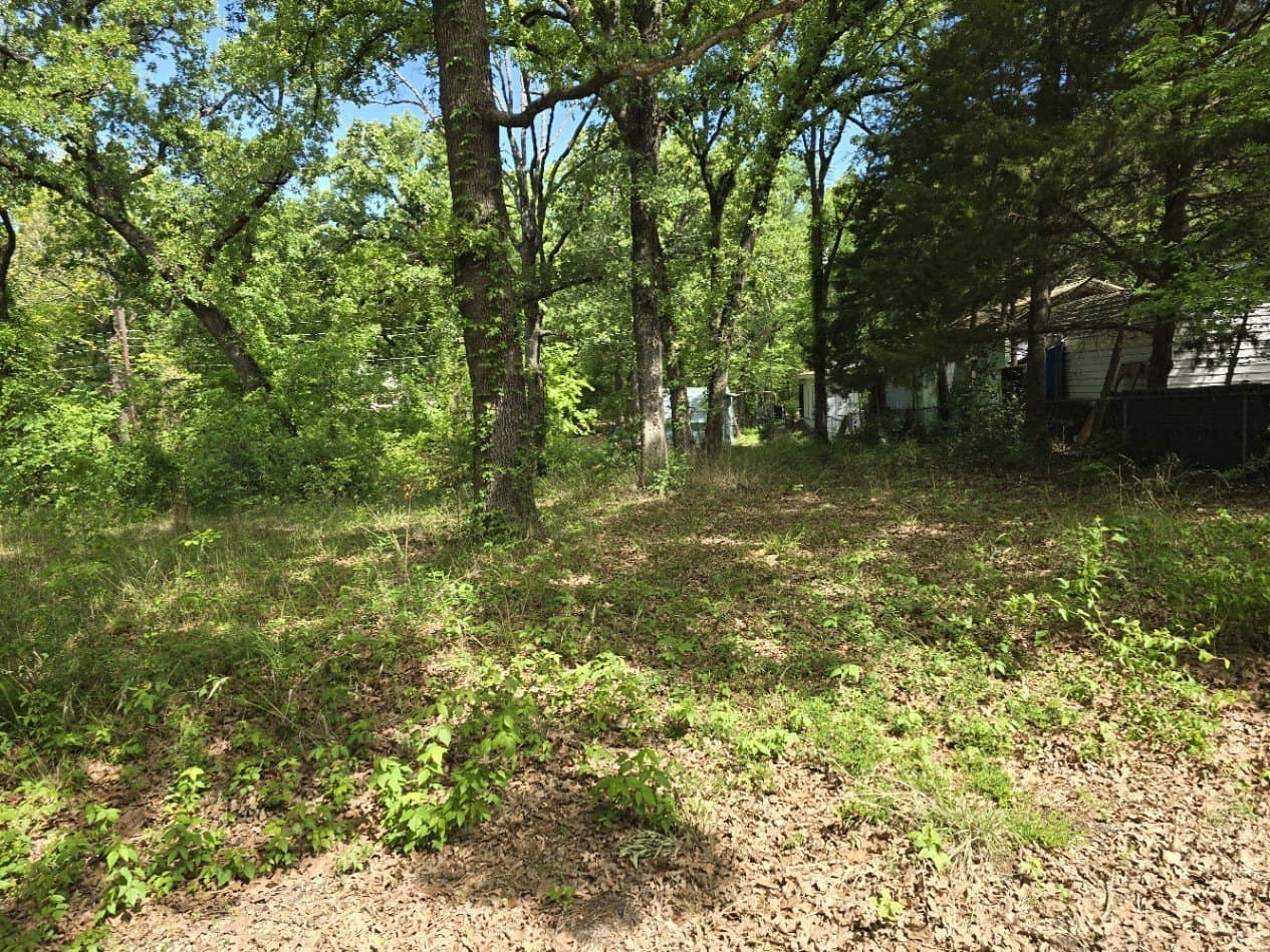 0.12 acres in Henderson County - photo 13