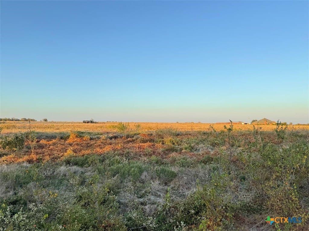 10.02 acres in Bell County gallery image 4