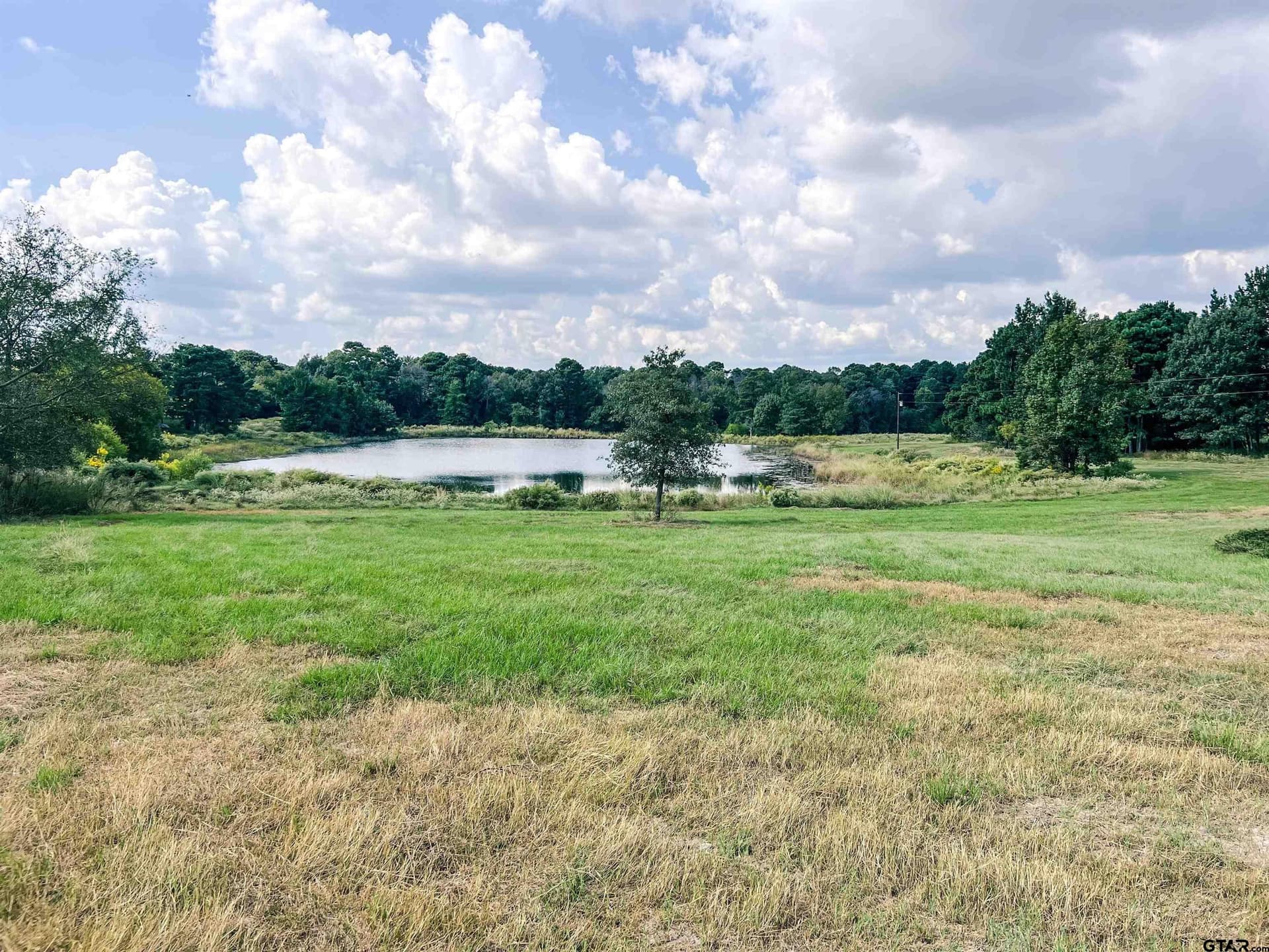 20.4 acres in Camp County gallery image 2