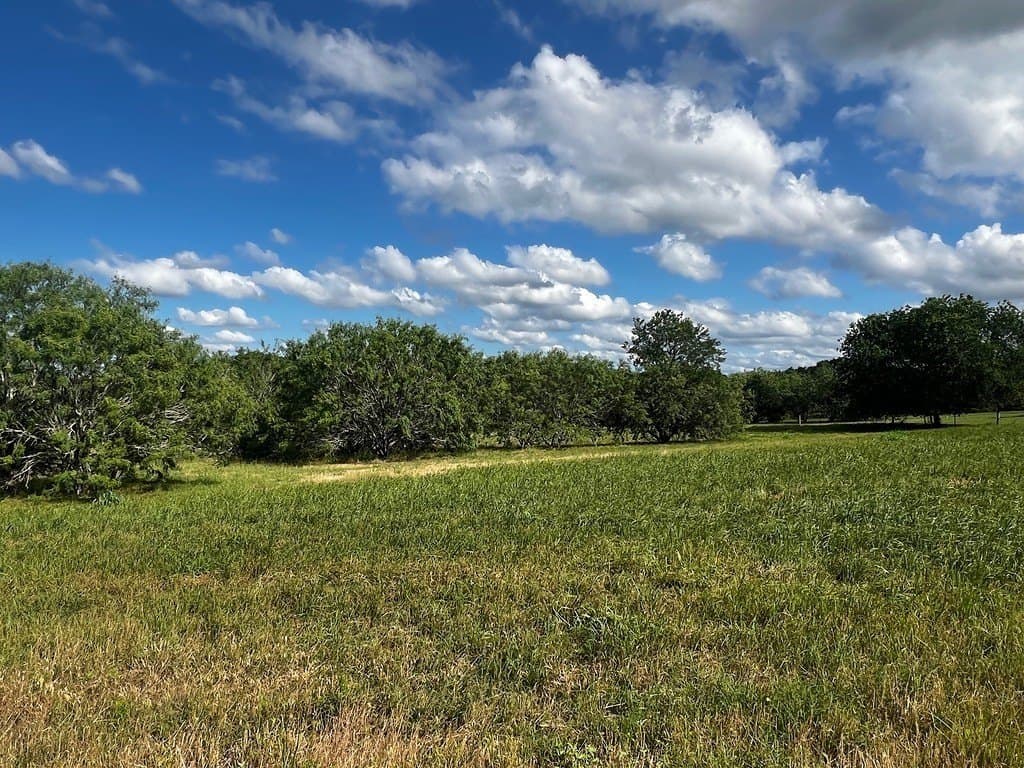 6.81 acres in Fayette County gallery image 4