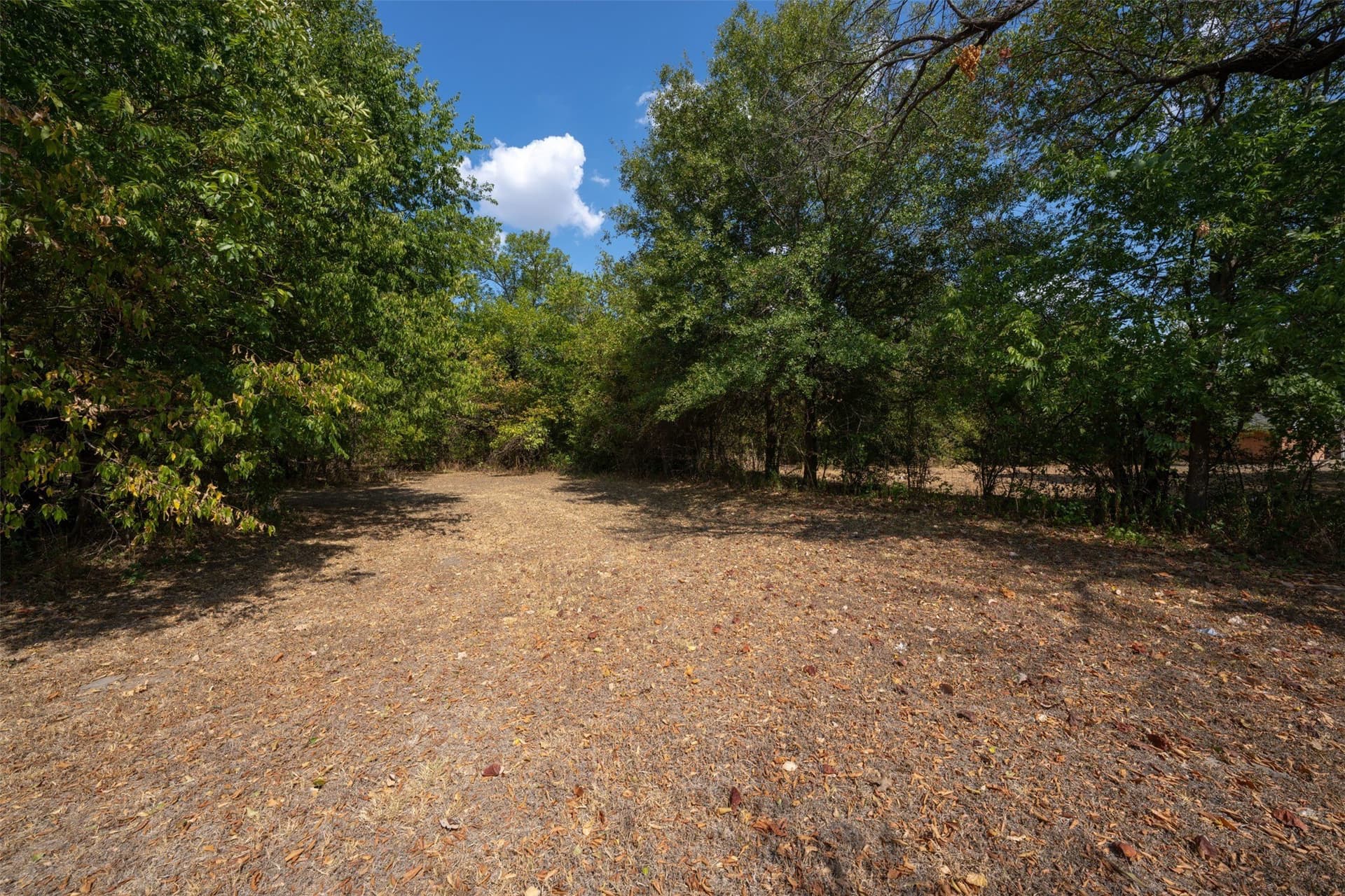 0.13 acres in Navarro County - photo 5