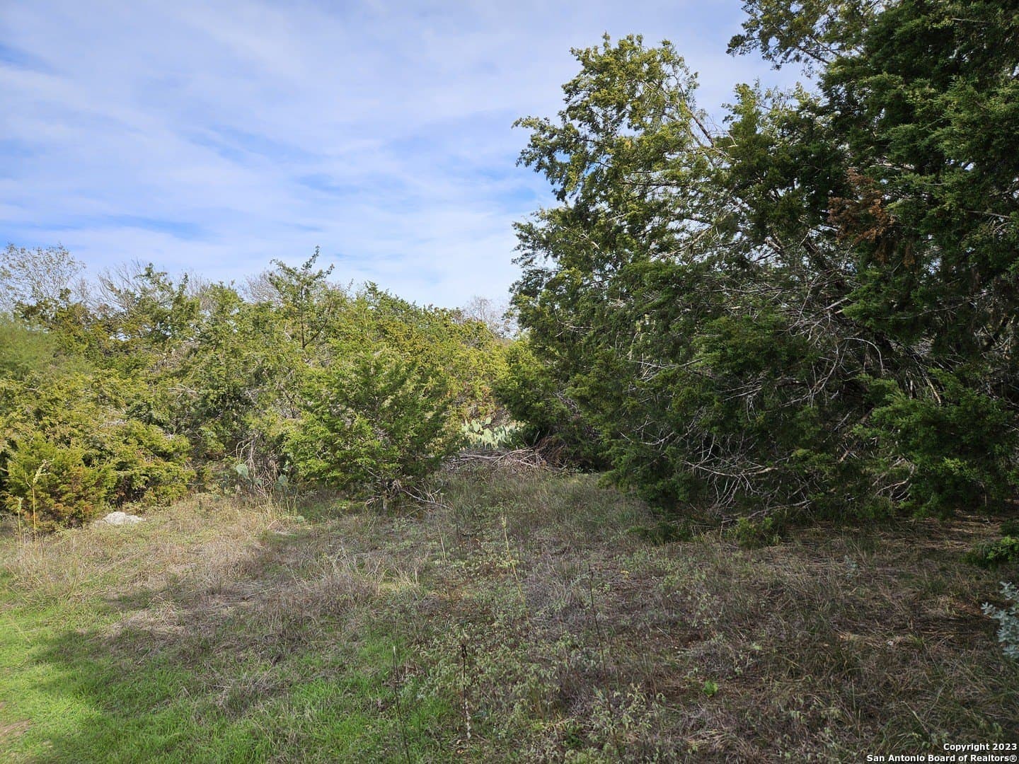 0.63 acres in Bexar County gallery image 3