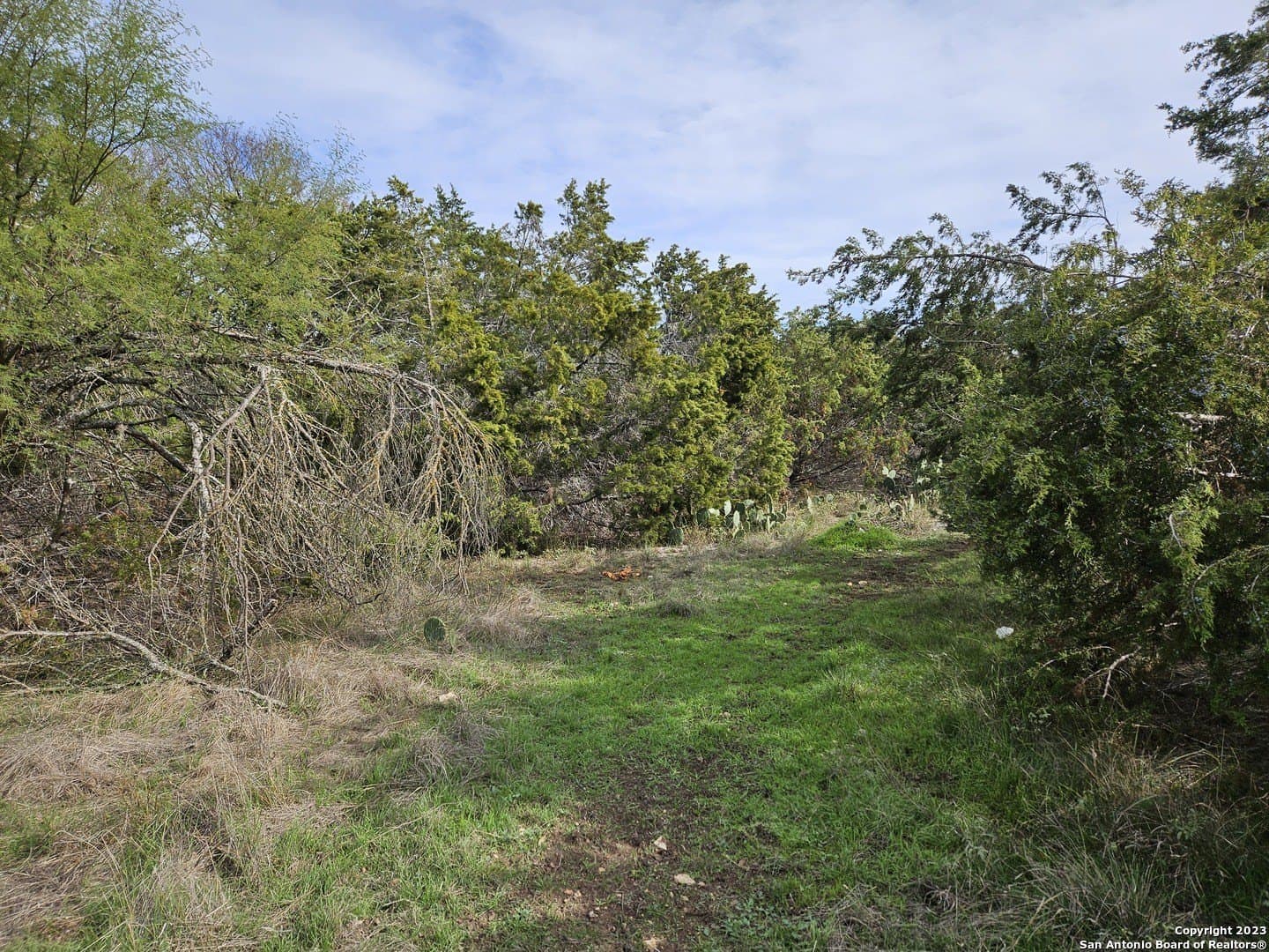 0.63 acres in Bexar County gallery image 4