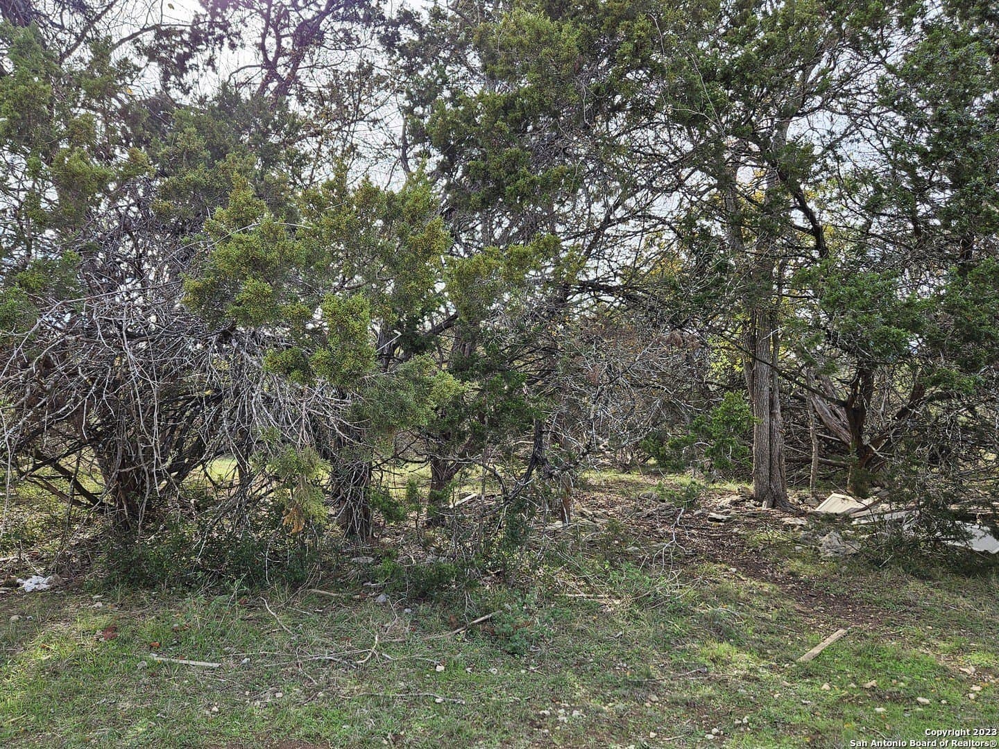 0.63 acres in Bexar County - photo 7